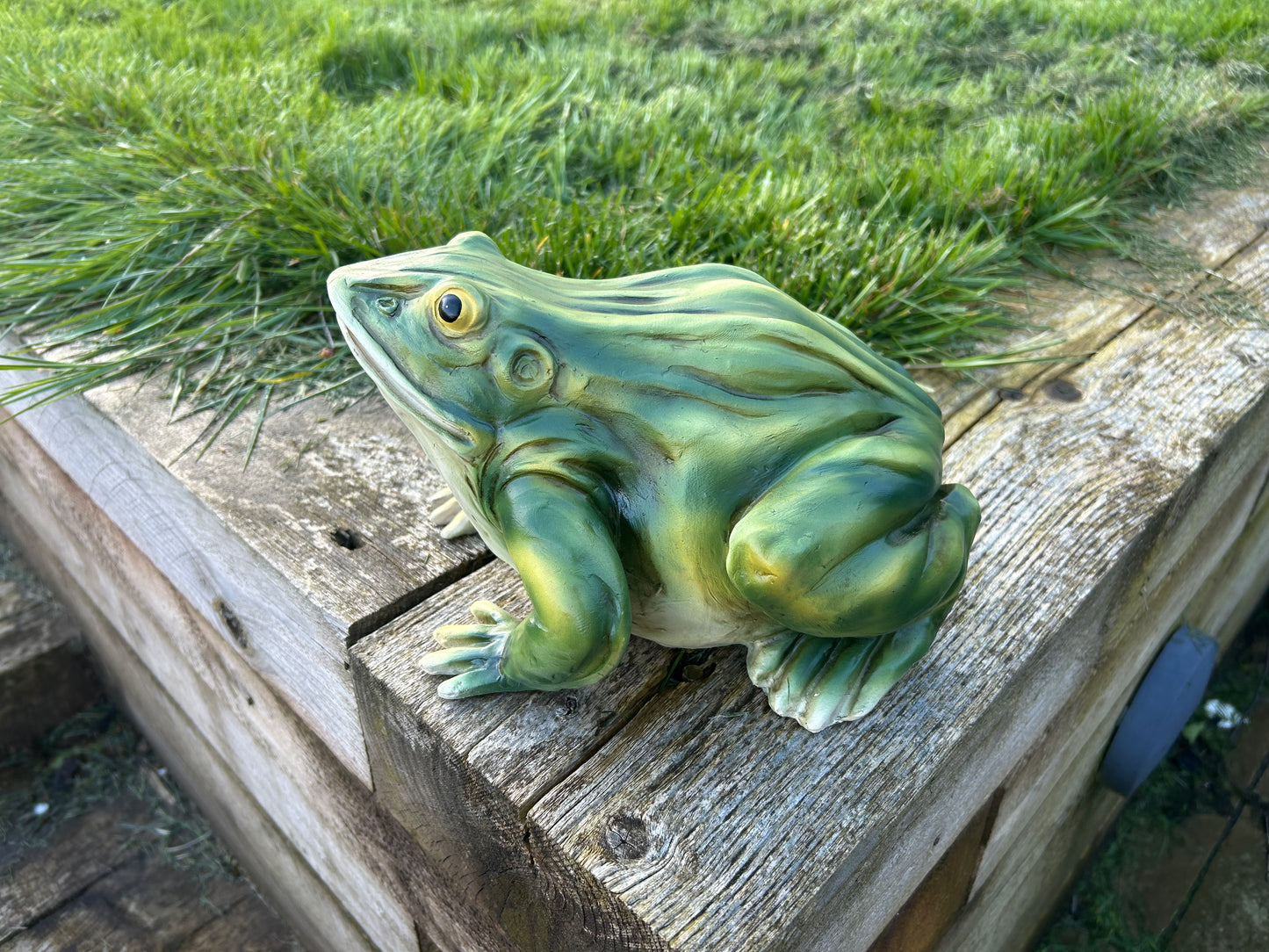 Gorgeous Green Frog Ornament