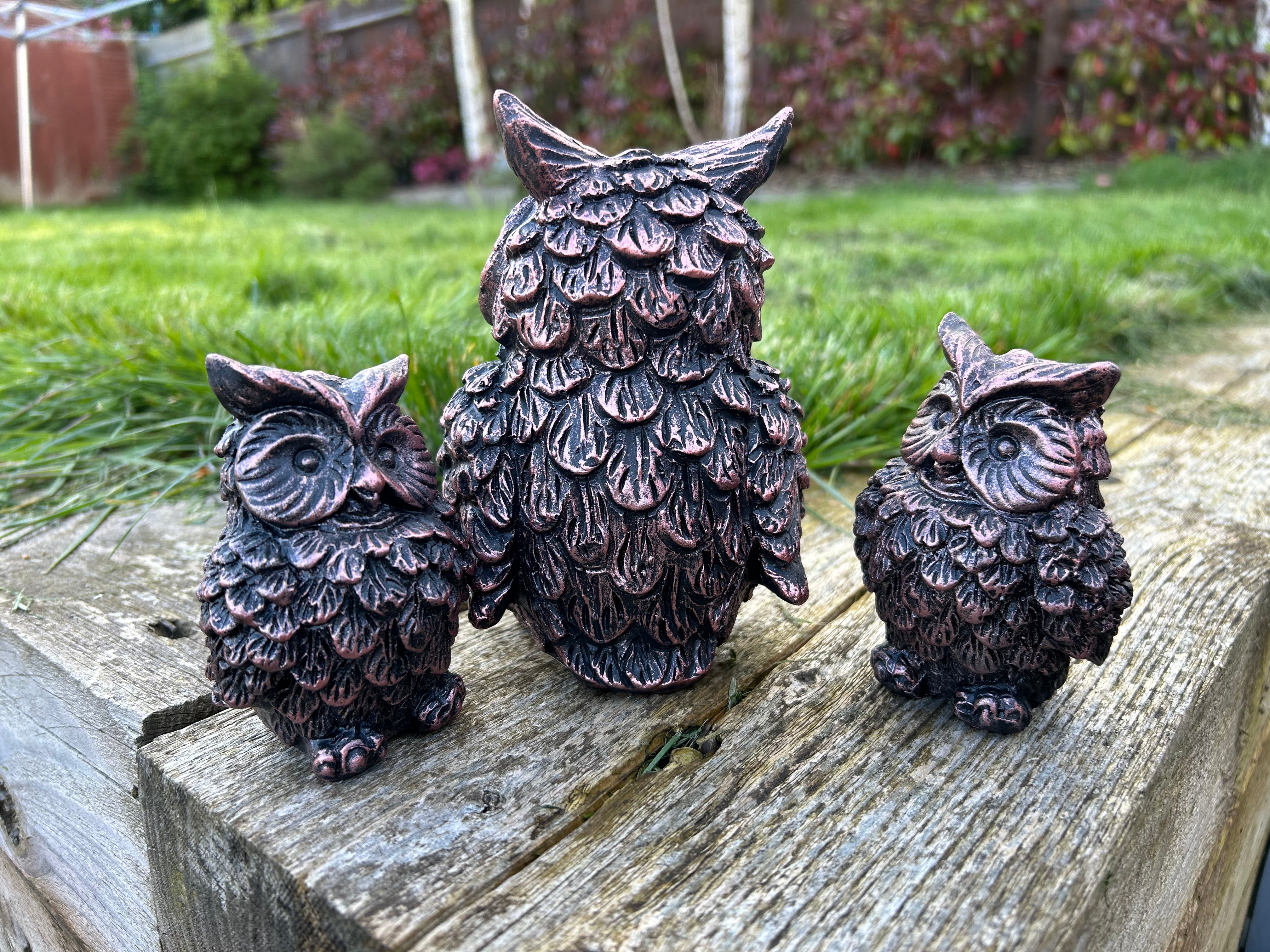 Wise Owl with Mini Owls