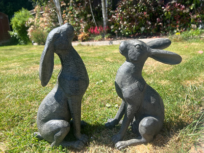 Large Moon-Gazing Graphite Hares Set