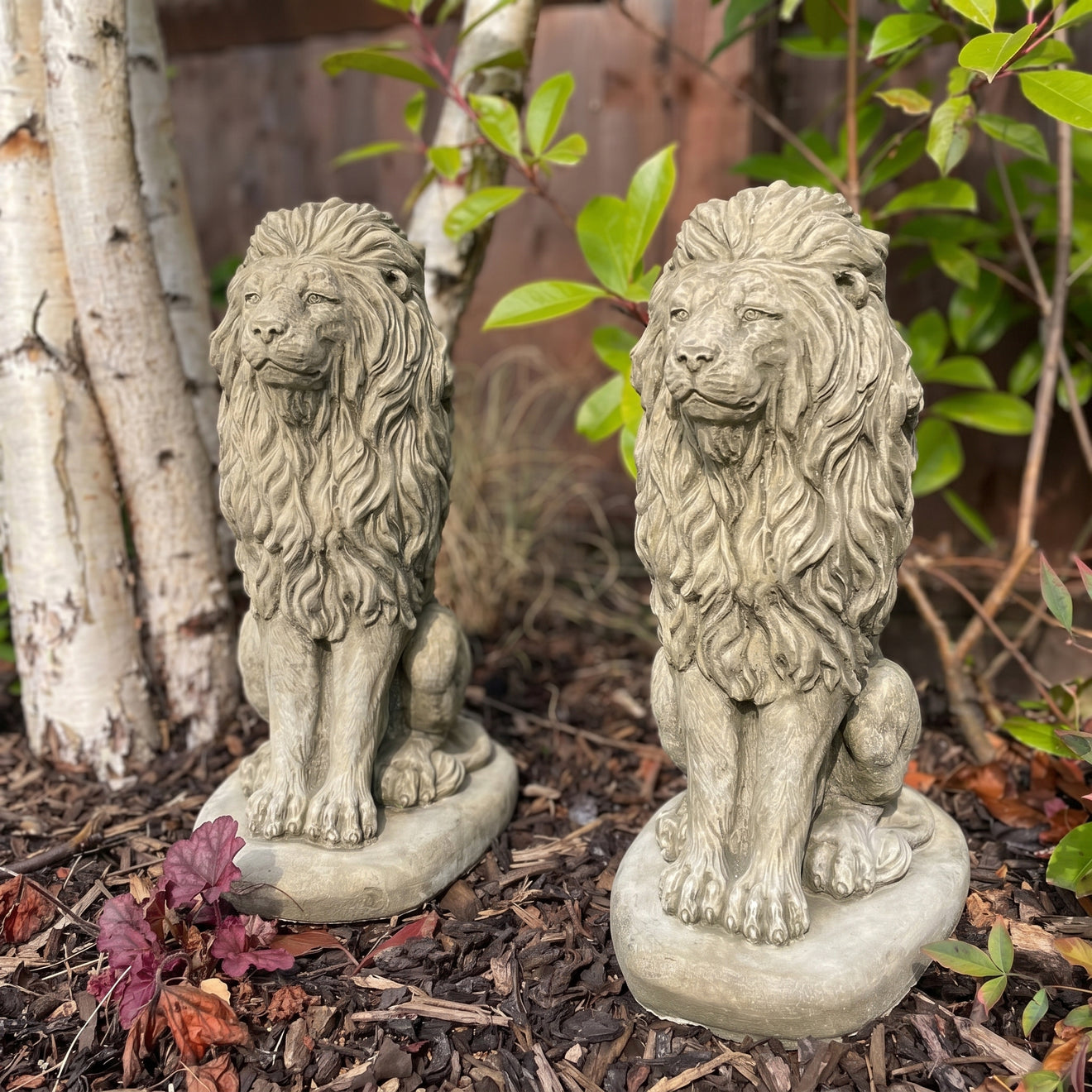 Pair of Sitting Lion Garden Statue's