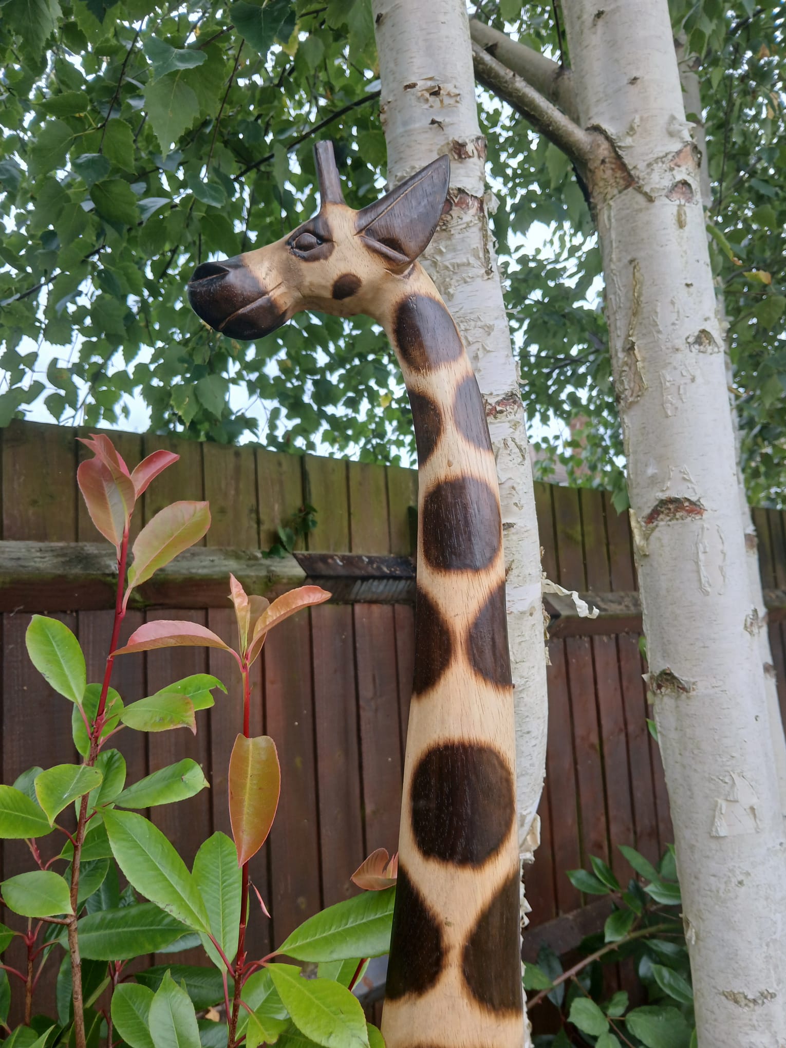 Large Wooden Giraffes - Set of 4