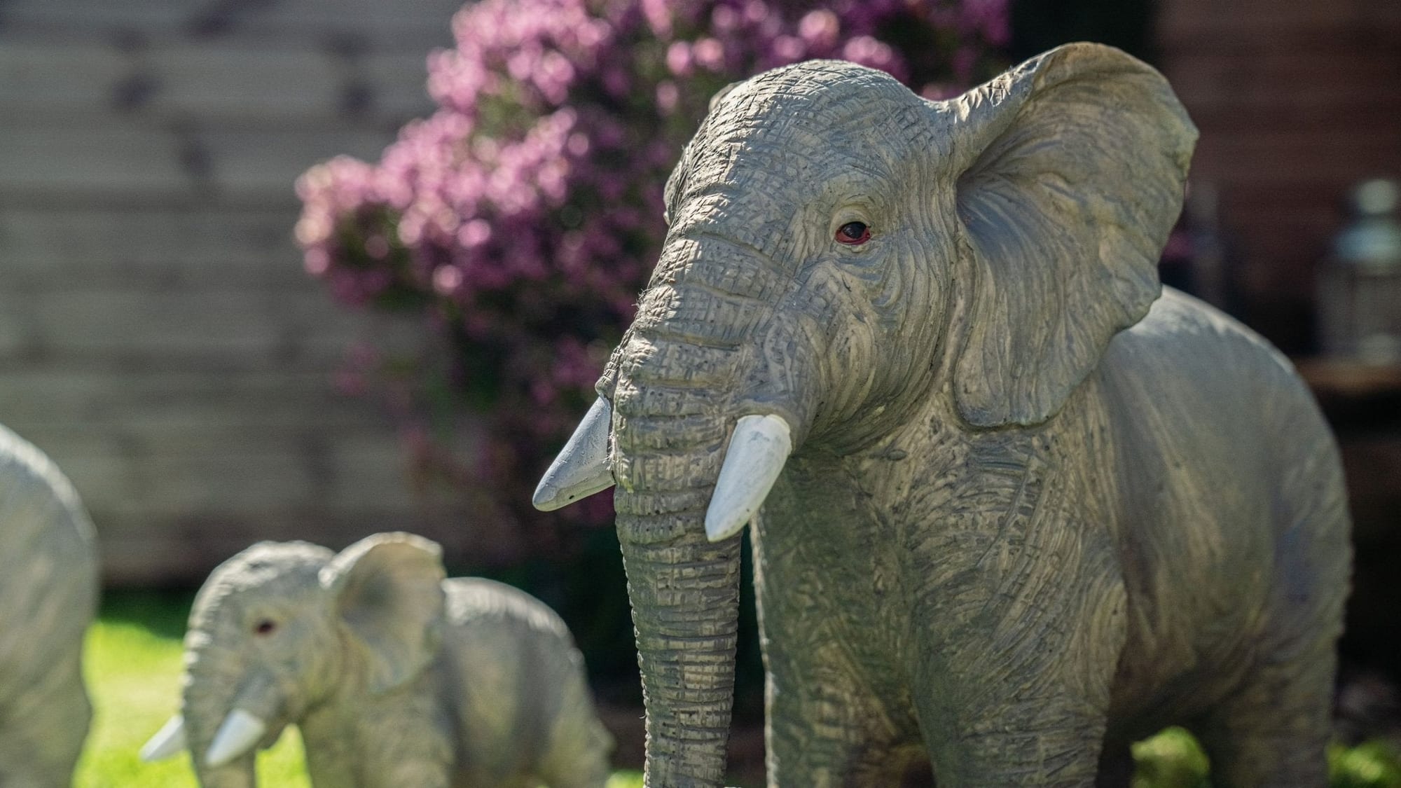 African and Lucky Elephant Set - Backyard Bliss