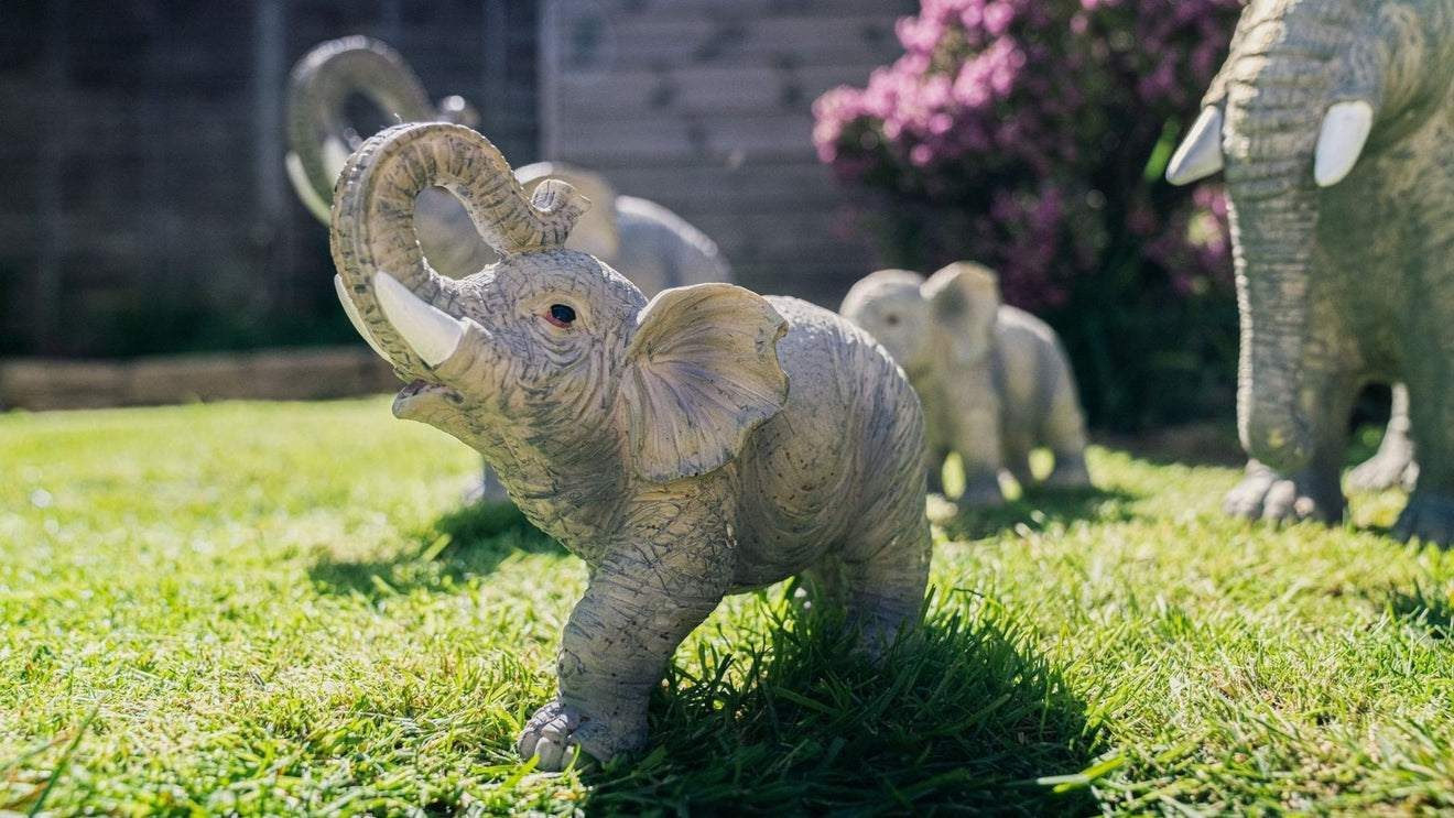 African and Lucky Elephant Set - Backyard Bliss