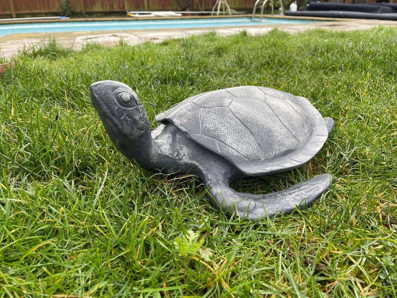 Aluminium Turtle - Backyard Bliss