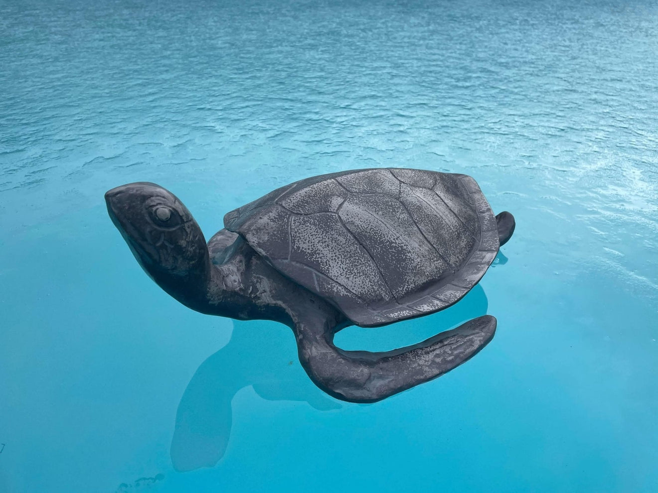 Aluminium Turtle - Backyard Bliss