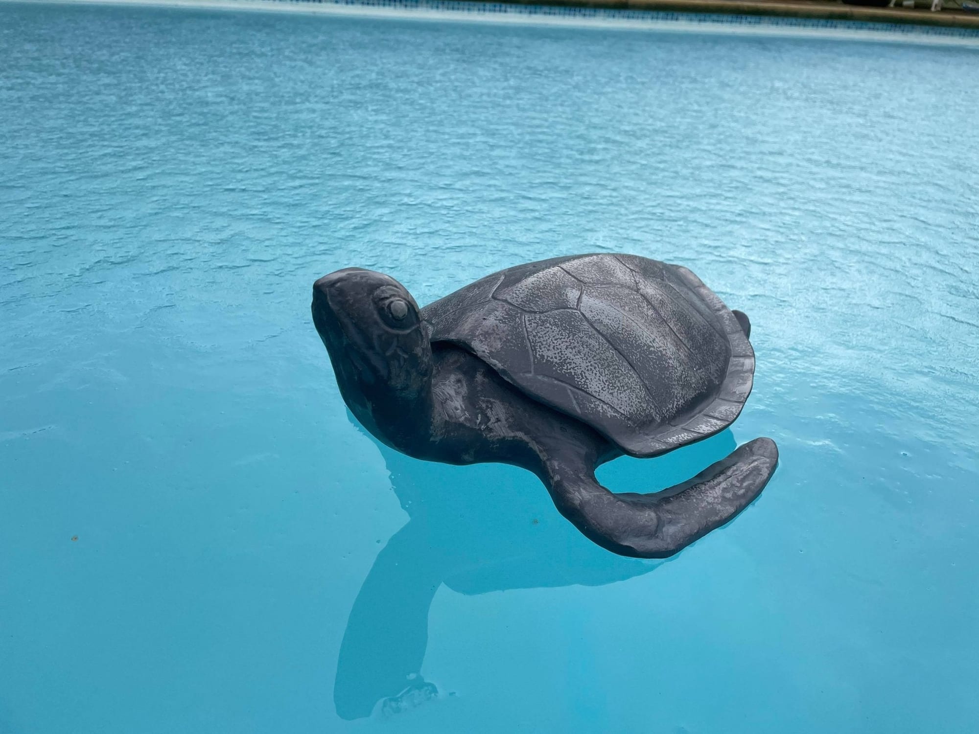 Aluminium Turtle - Backyard Bliss