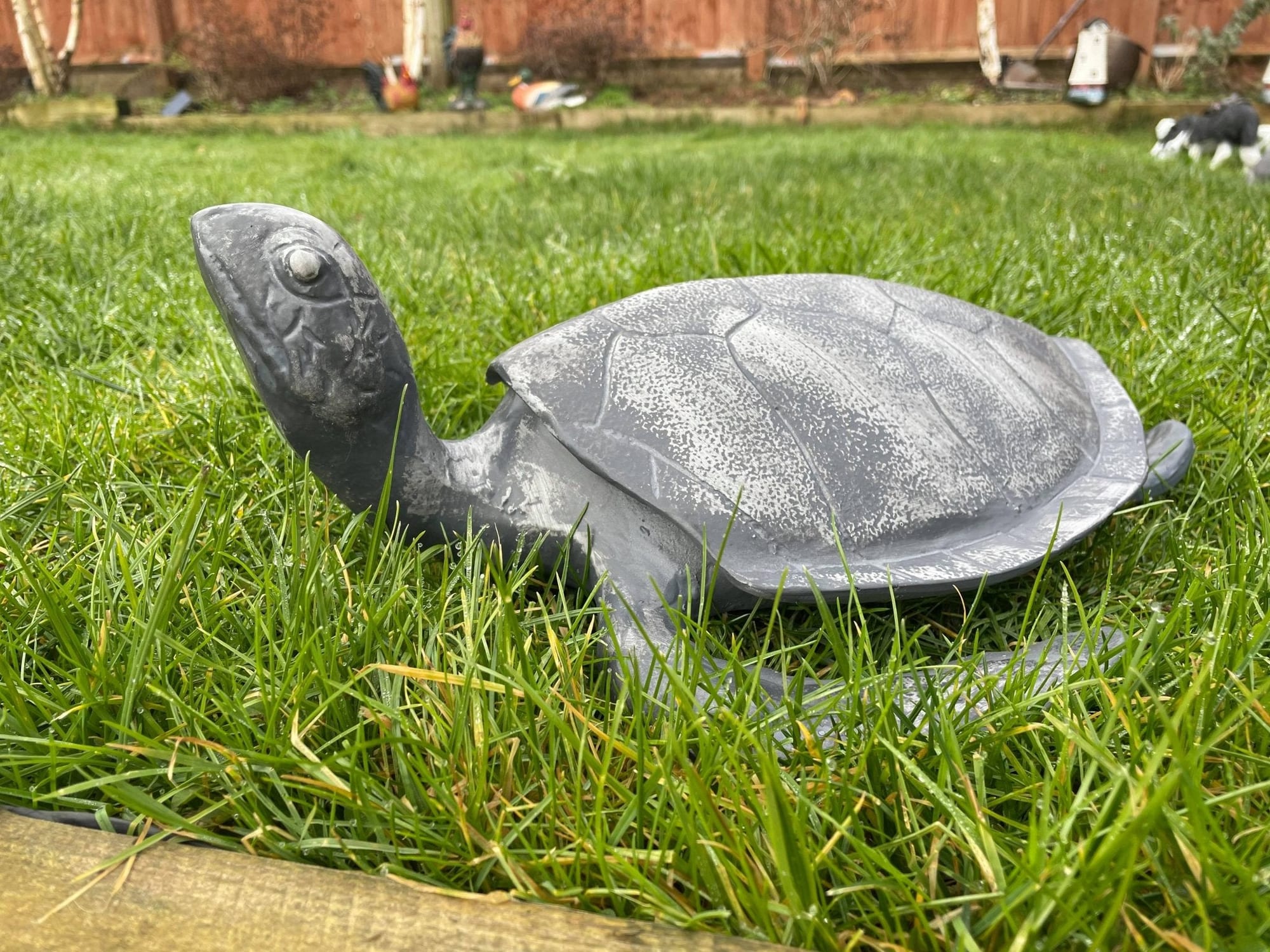 Aluminium Turtle - Backyard Bliss