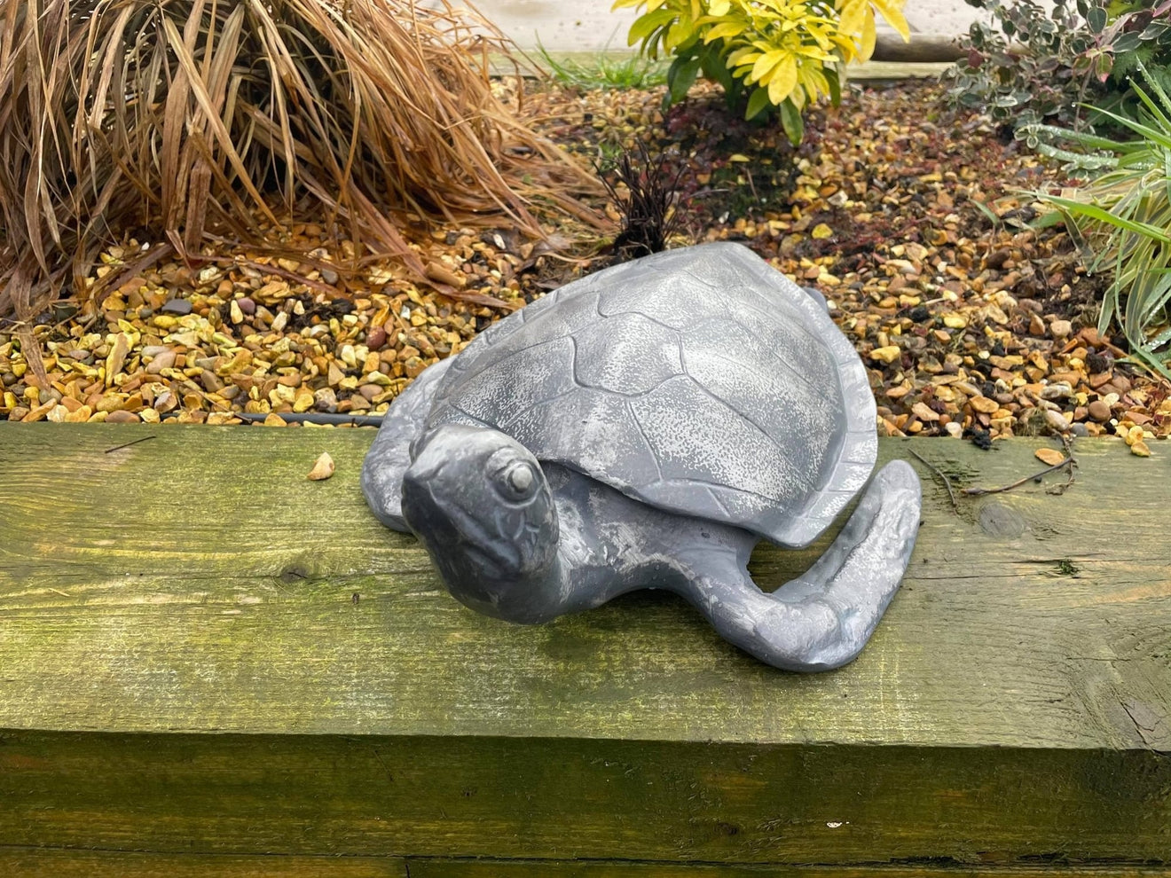 Aluminium Turtle - Backyard Bliss