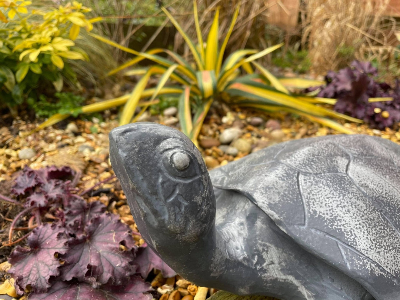 Aluminium Turtle - Backyard Bliss
