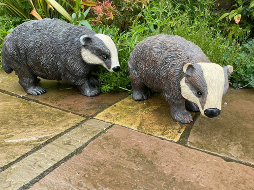Badger and Badger Cub - Backyard Bliss