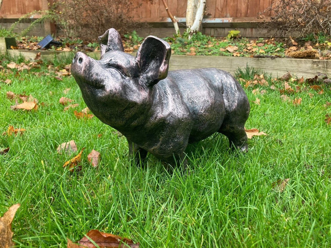 Bronze Happy Pig Garden Ornament - Backyard Bliss
