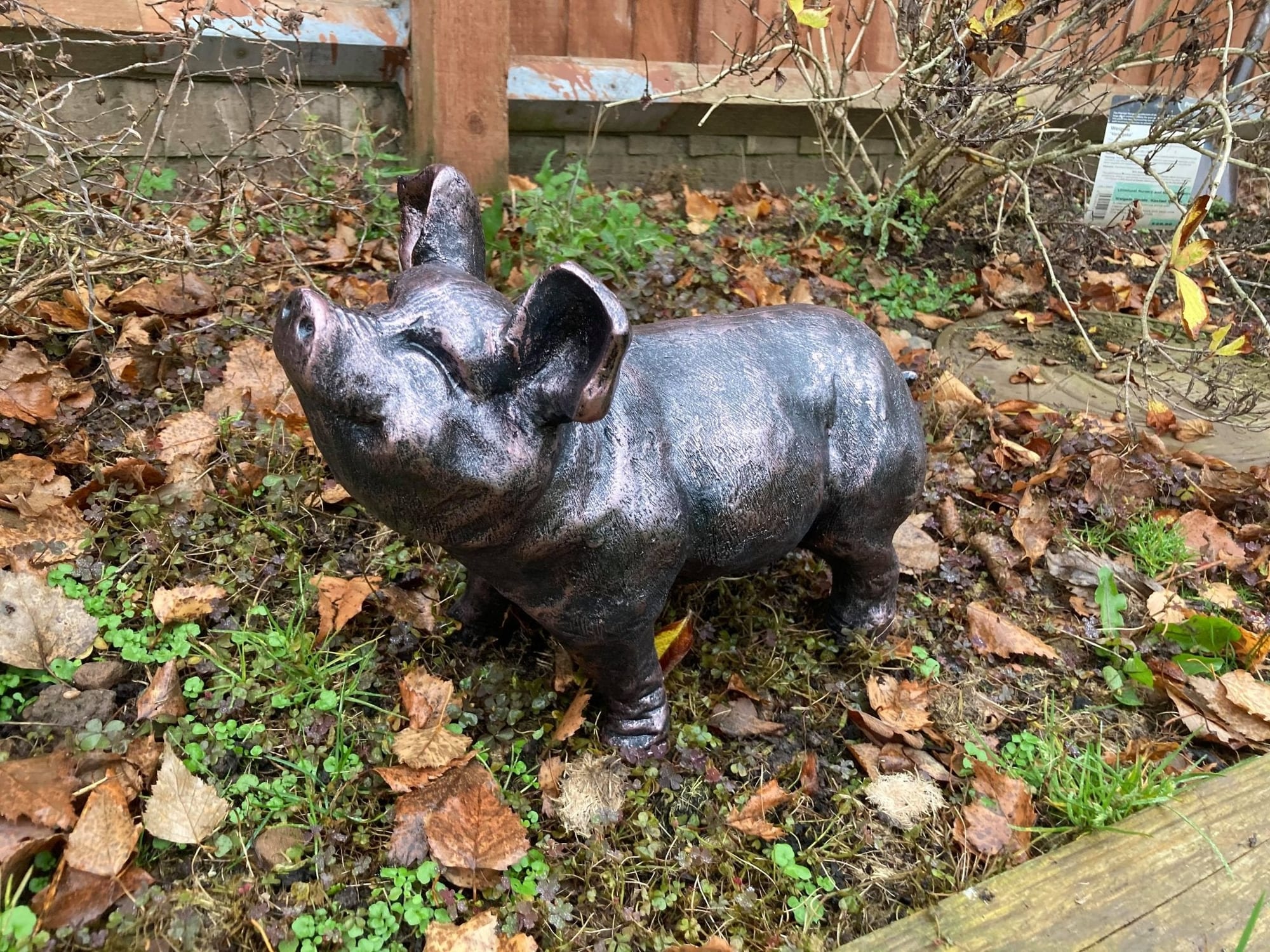 Bronze Happy Pig Garden Ornament - Backyard Bliss