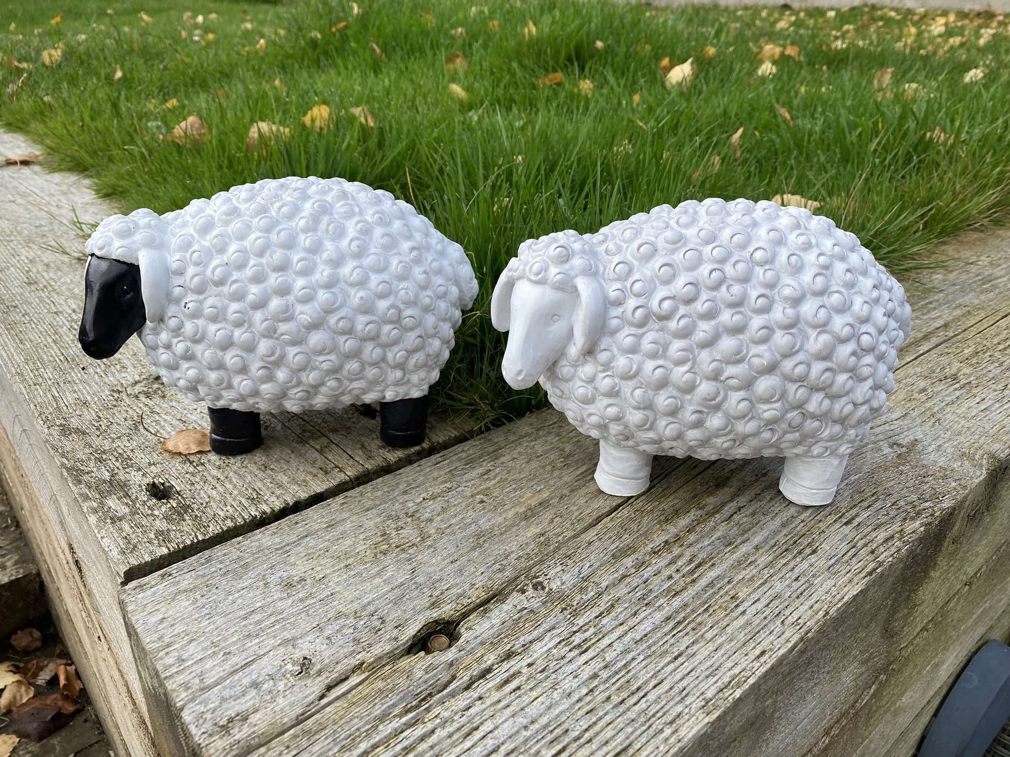 Chunky Sheep - Backyard Bliss