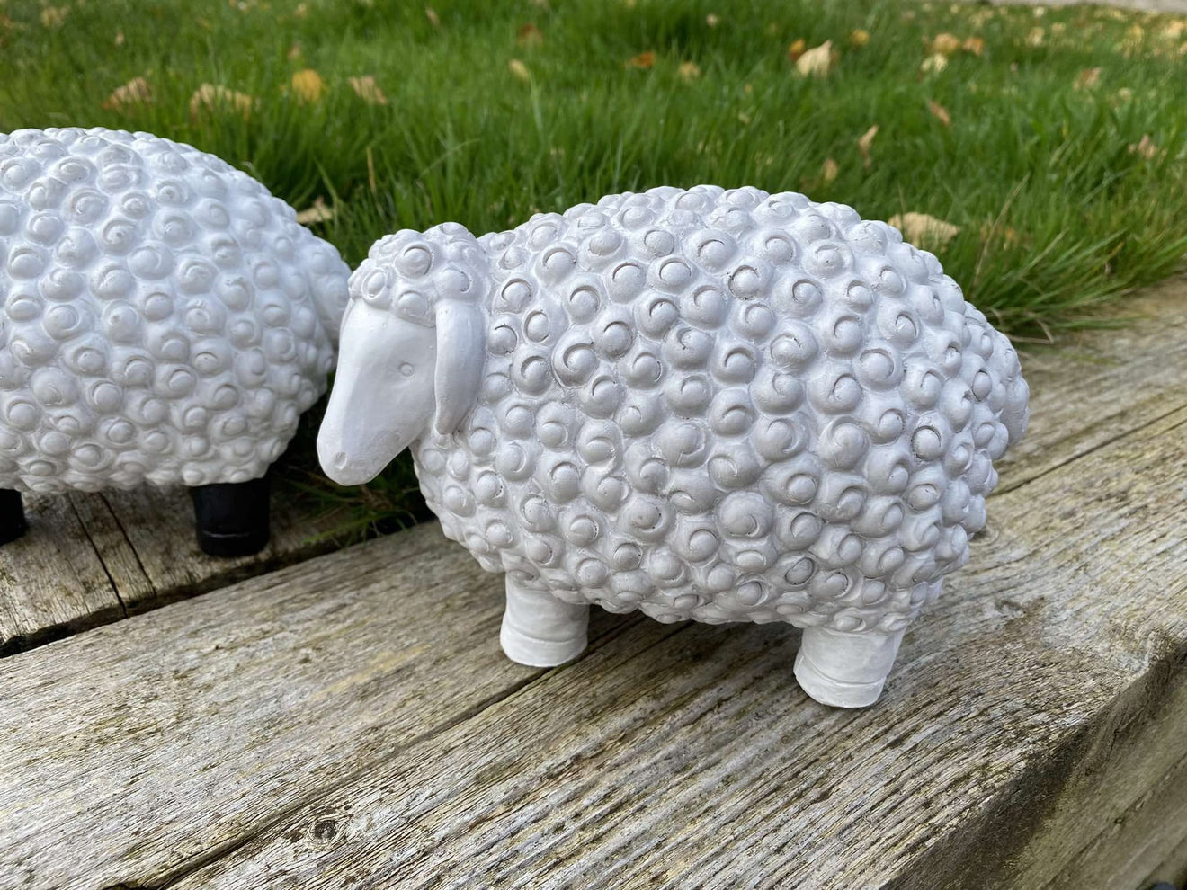 Chunky Sheep - Backyard Bliss
