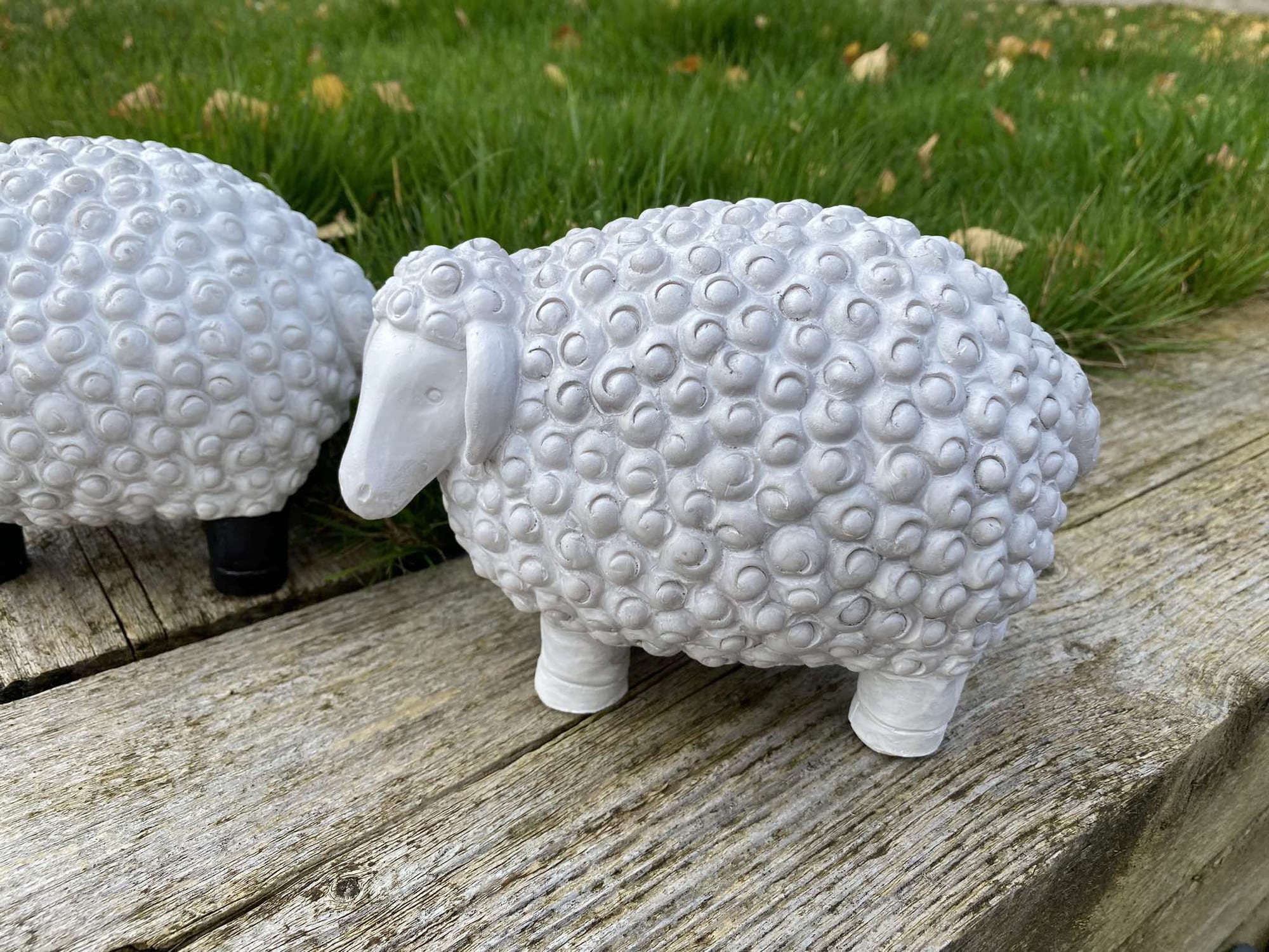 Chunky Sheep - Backyard Bliss