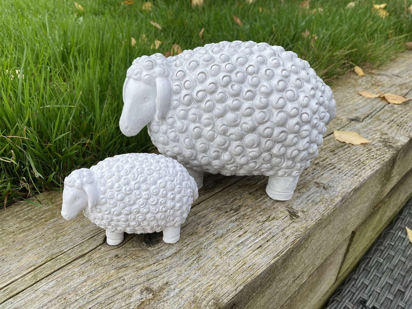 Chunky Sheep - Backyard Bliss