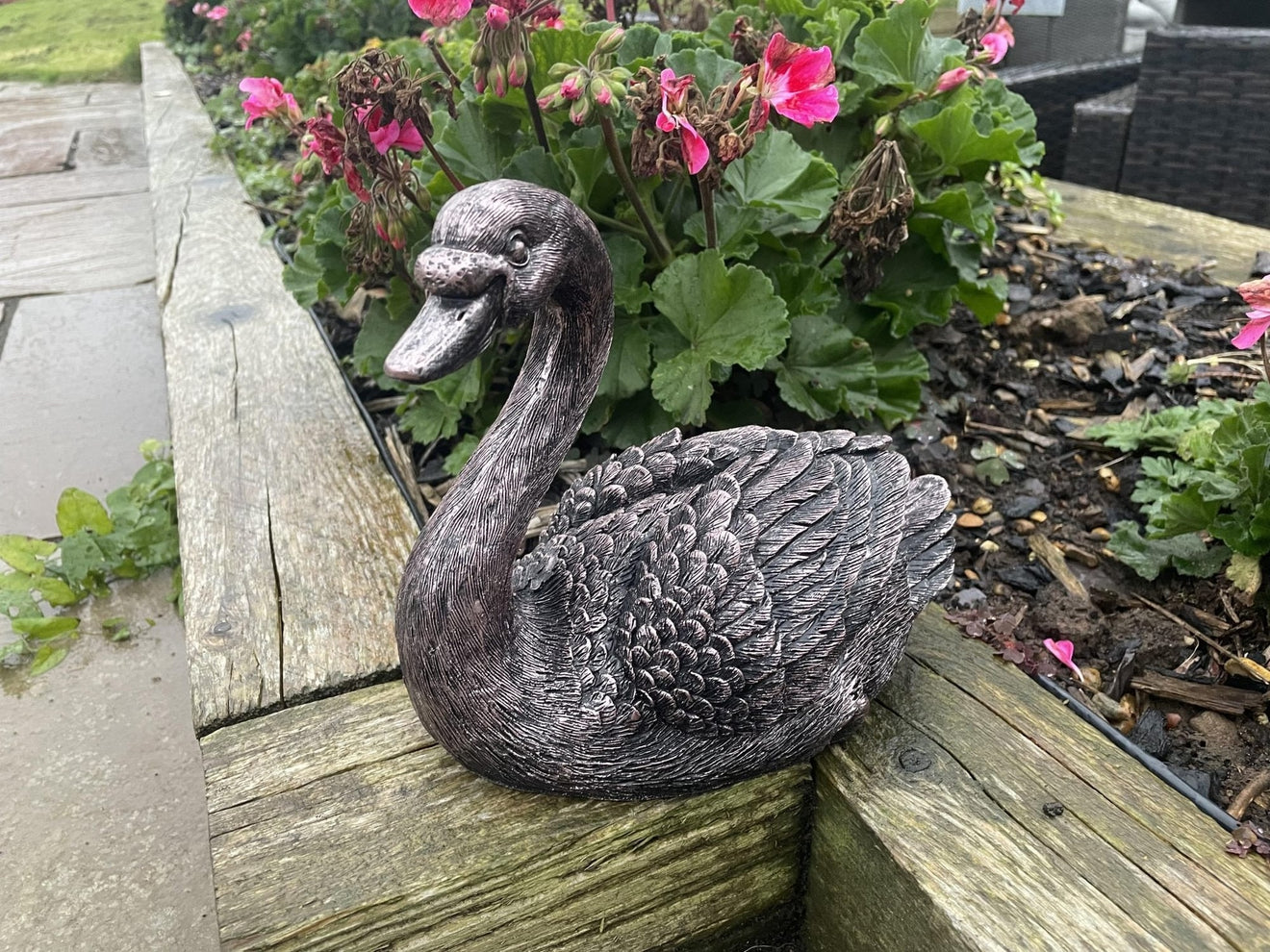 Classic Swan - Backyard Bliss