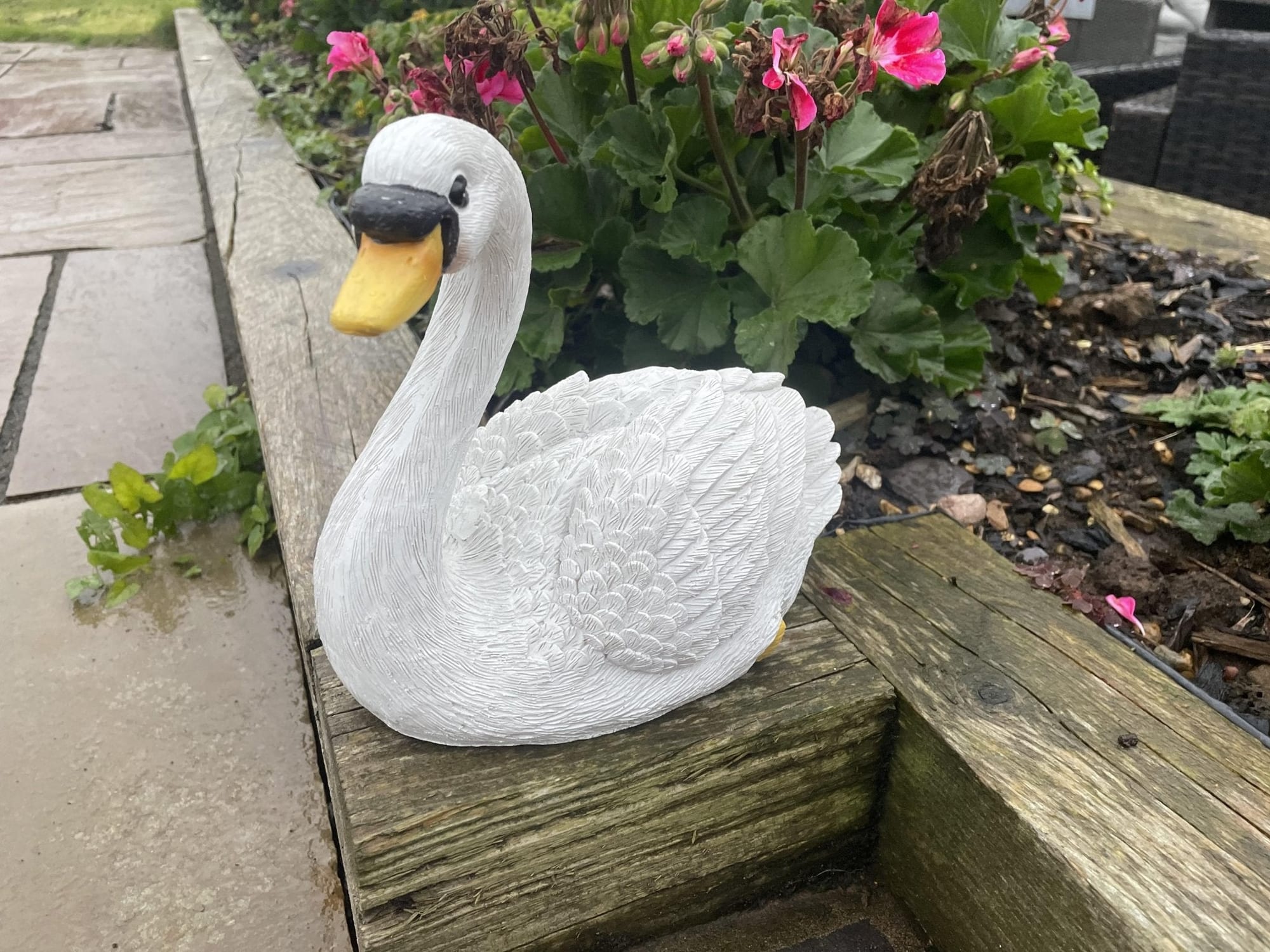 Classic Swan - Backyard Bliss