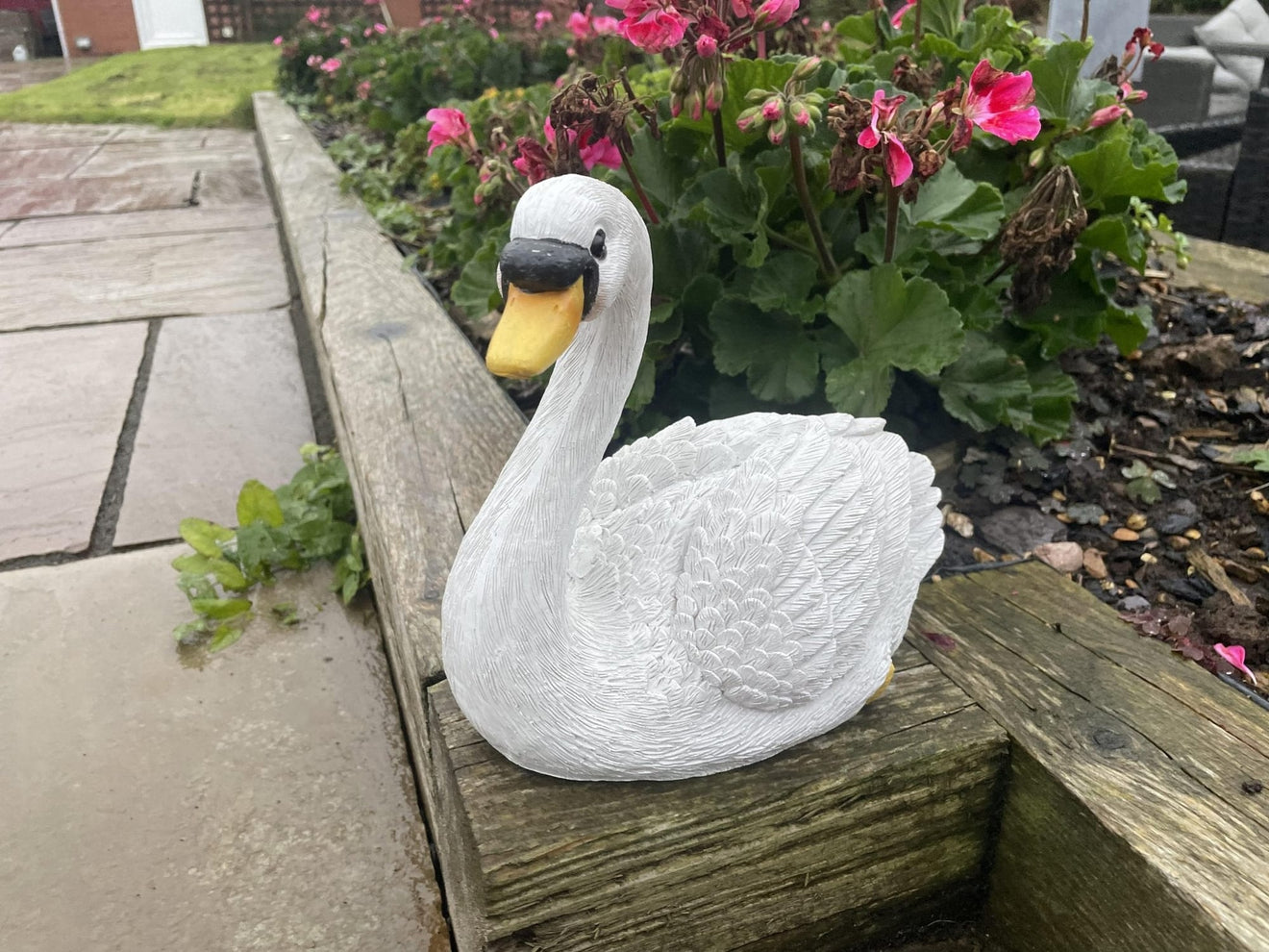 Classic Swan - Backyard Bliss