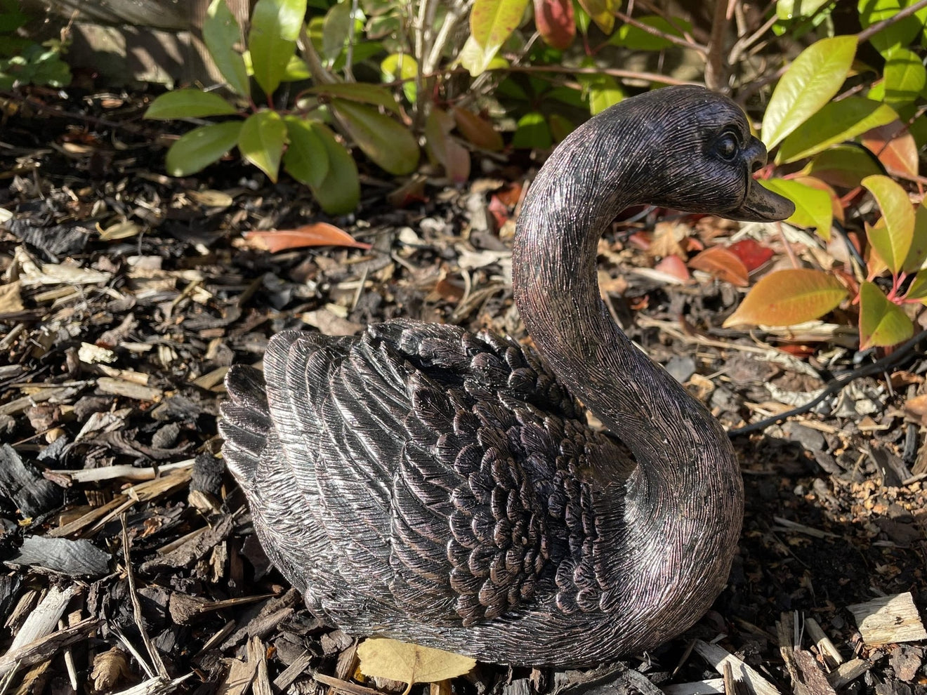Classic Swan - Backyard Bliss