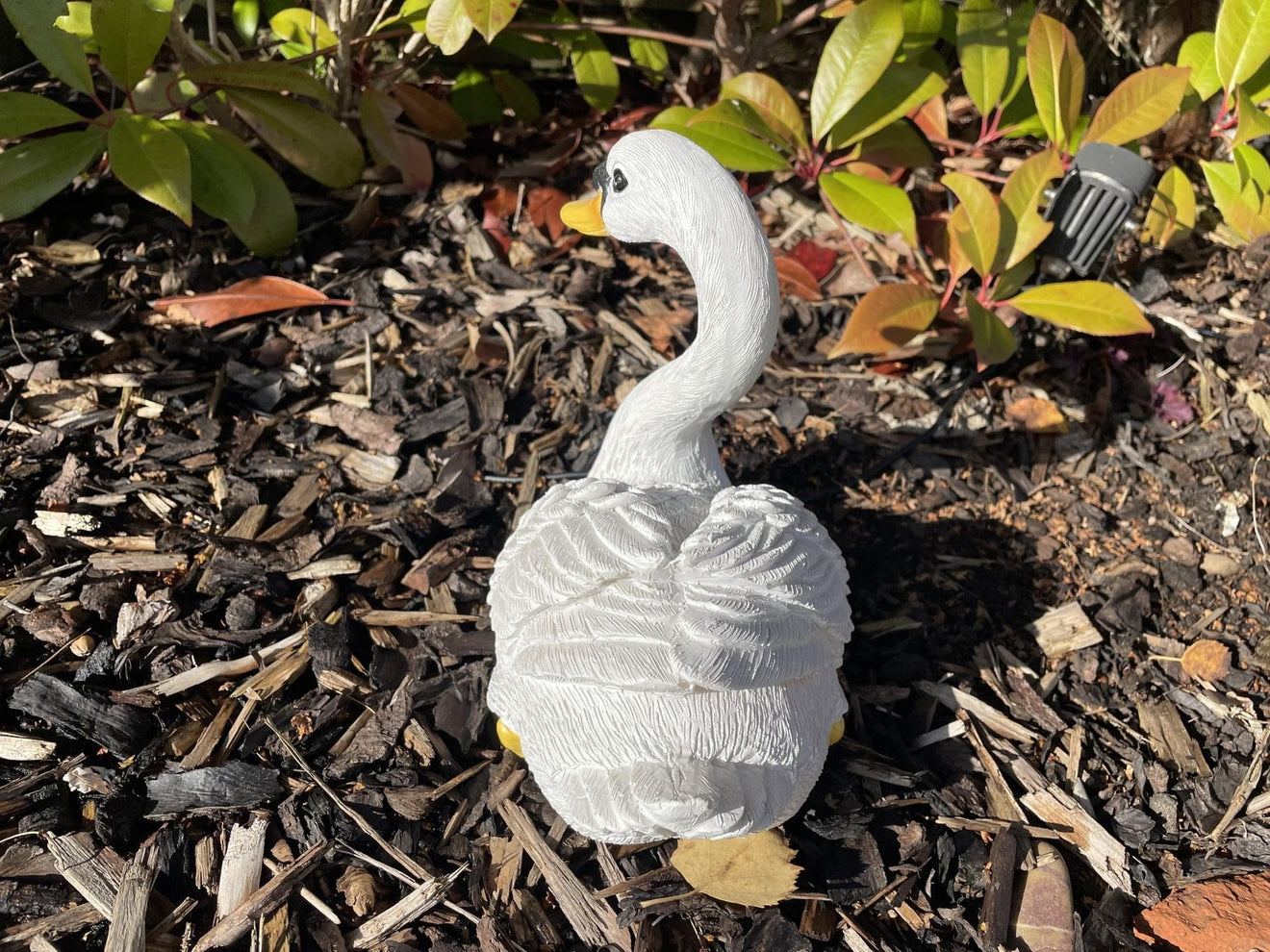Classic Swan - Backyard Bliss