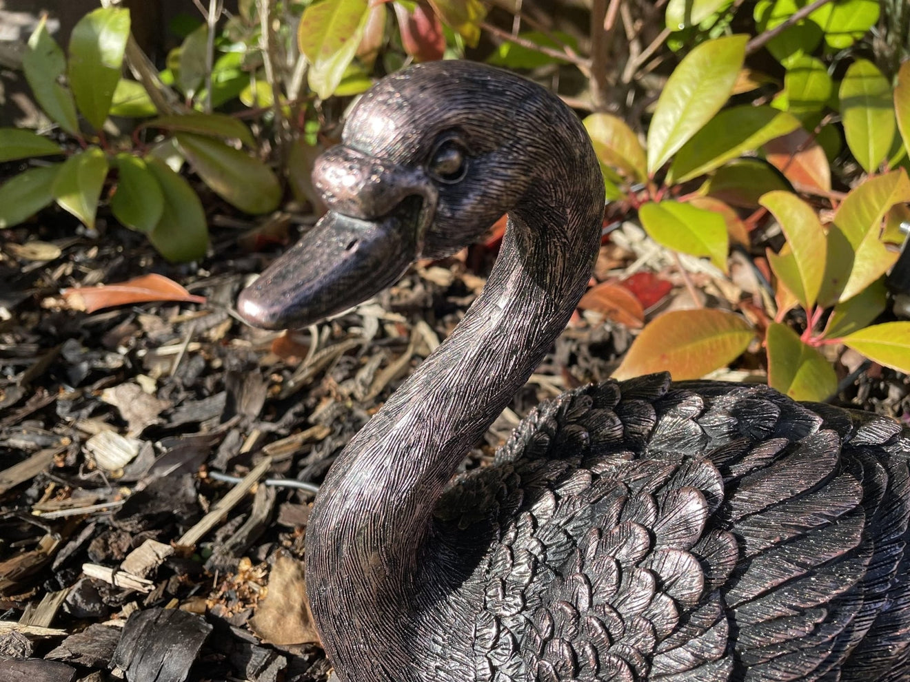 Classic Swan - Backyard Bliss