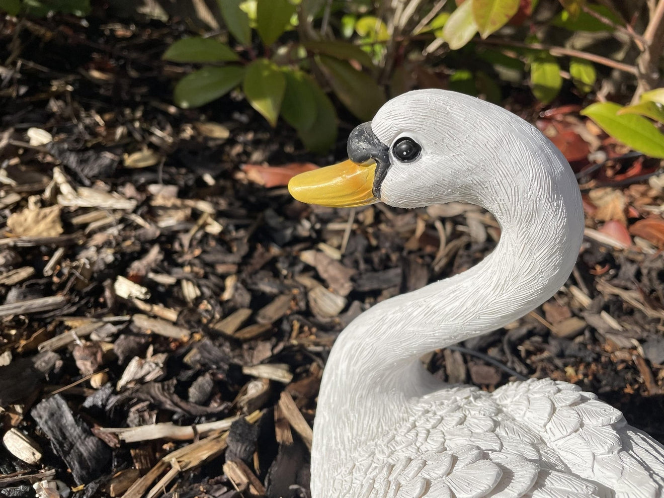 Classic Swan - Backyard Bliss