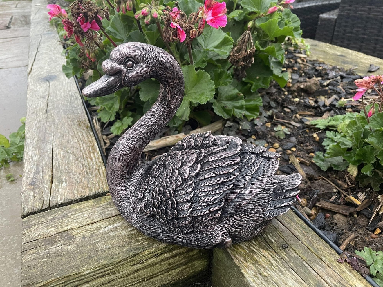 Classic Swan - Backyard Bliss