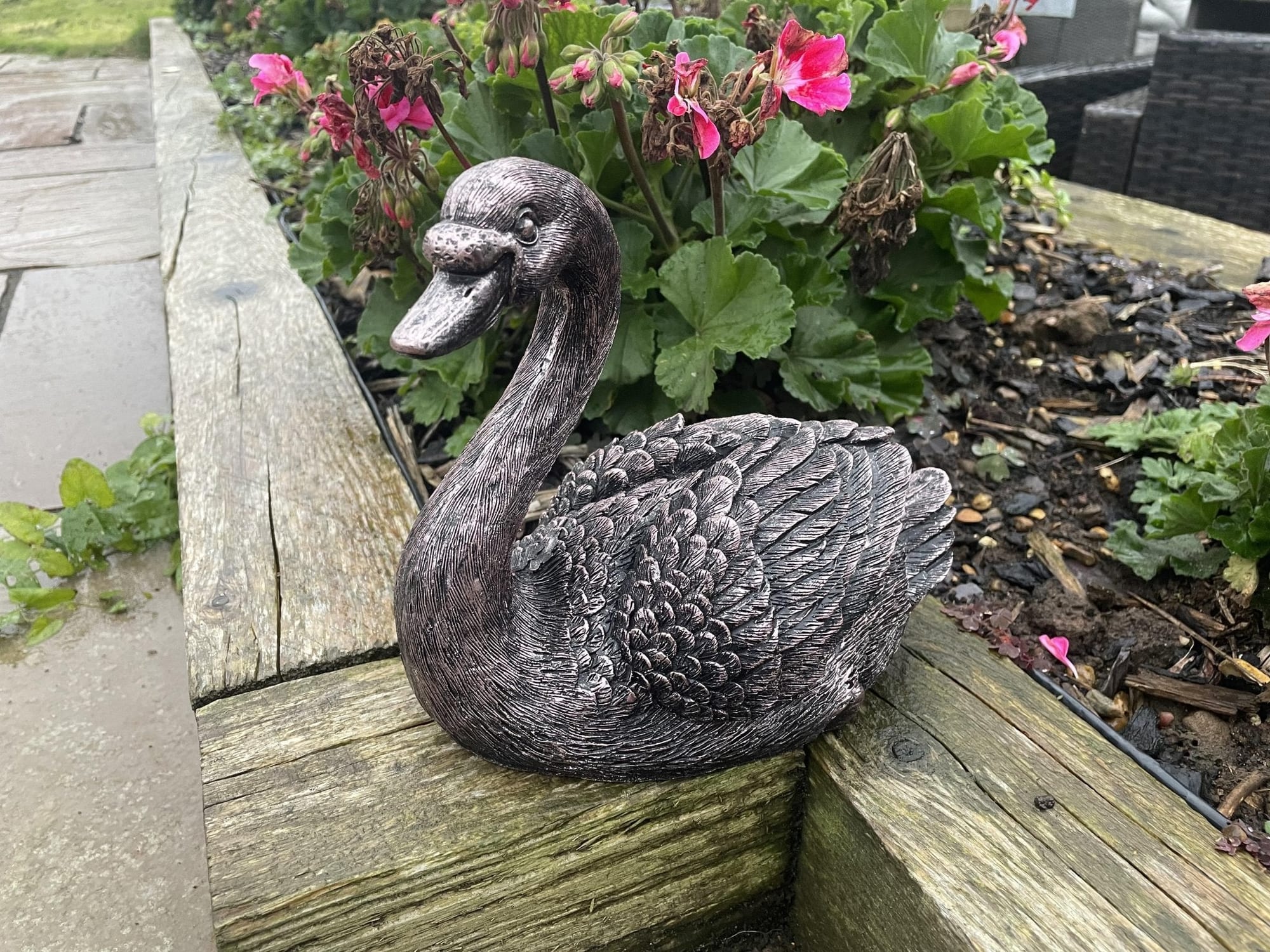 Classic Swan - Backyard Bliss