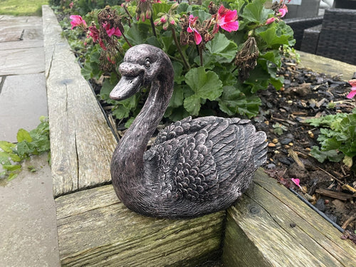 Classic Swan - Backyard Bliss
