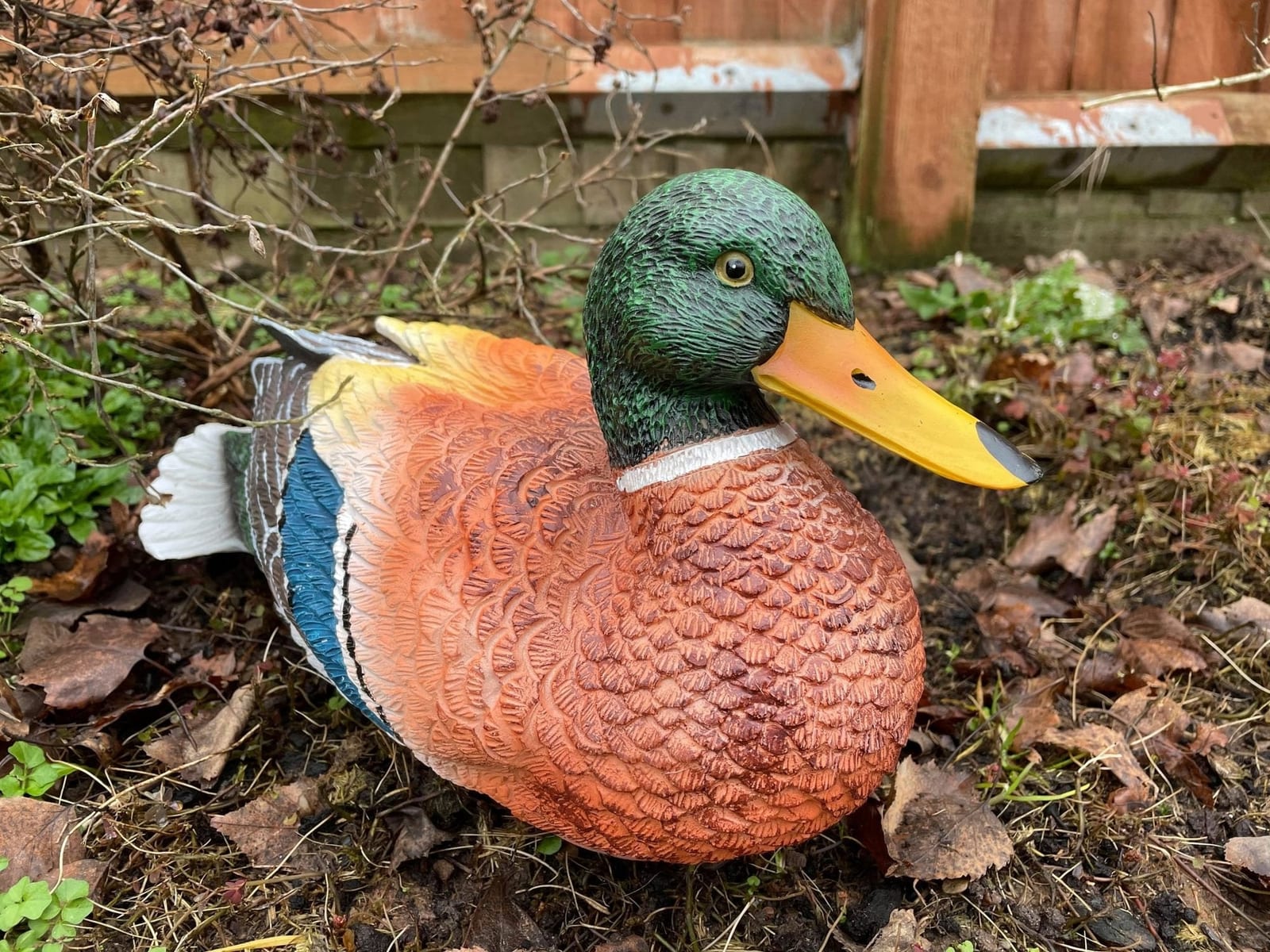 Content Duck Garden Ornament