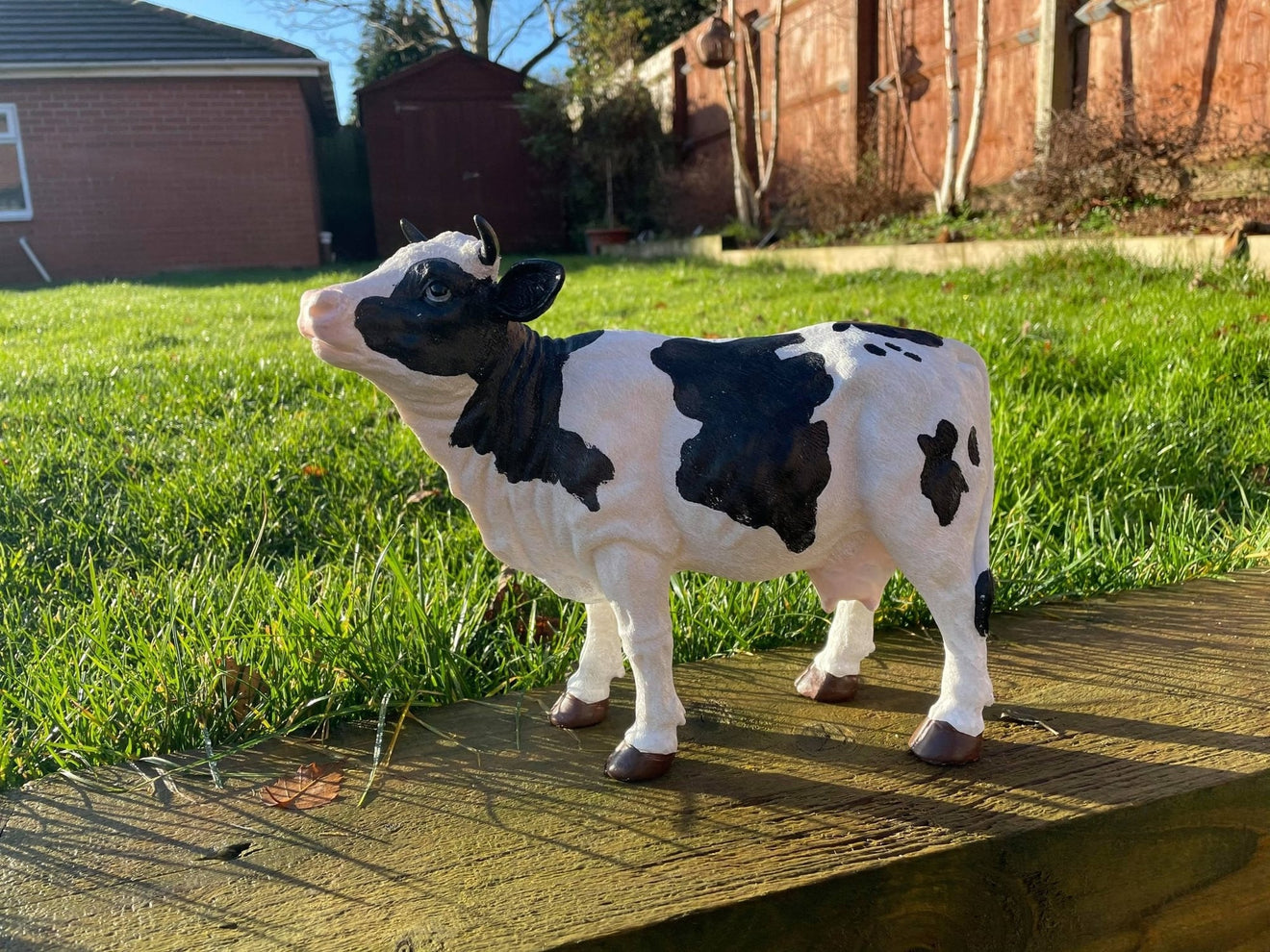 Dairy Cow - Backyard Bliss