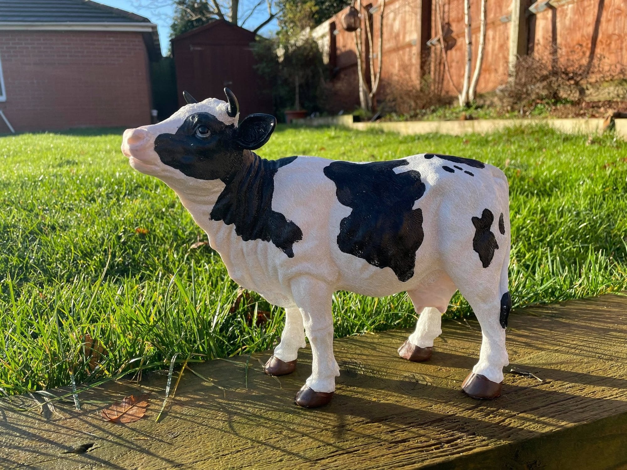 Dairy Cow - Backyard Bliss