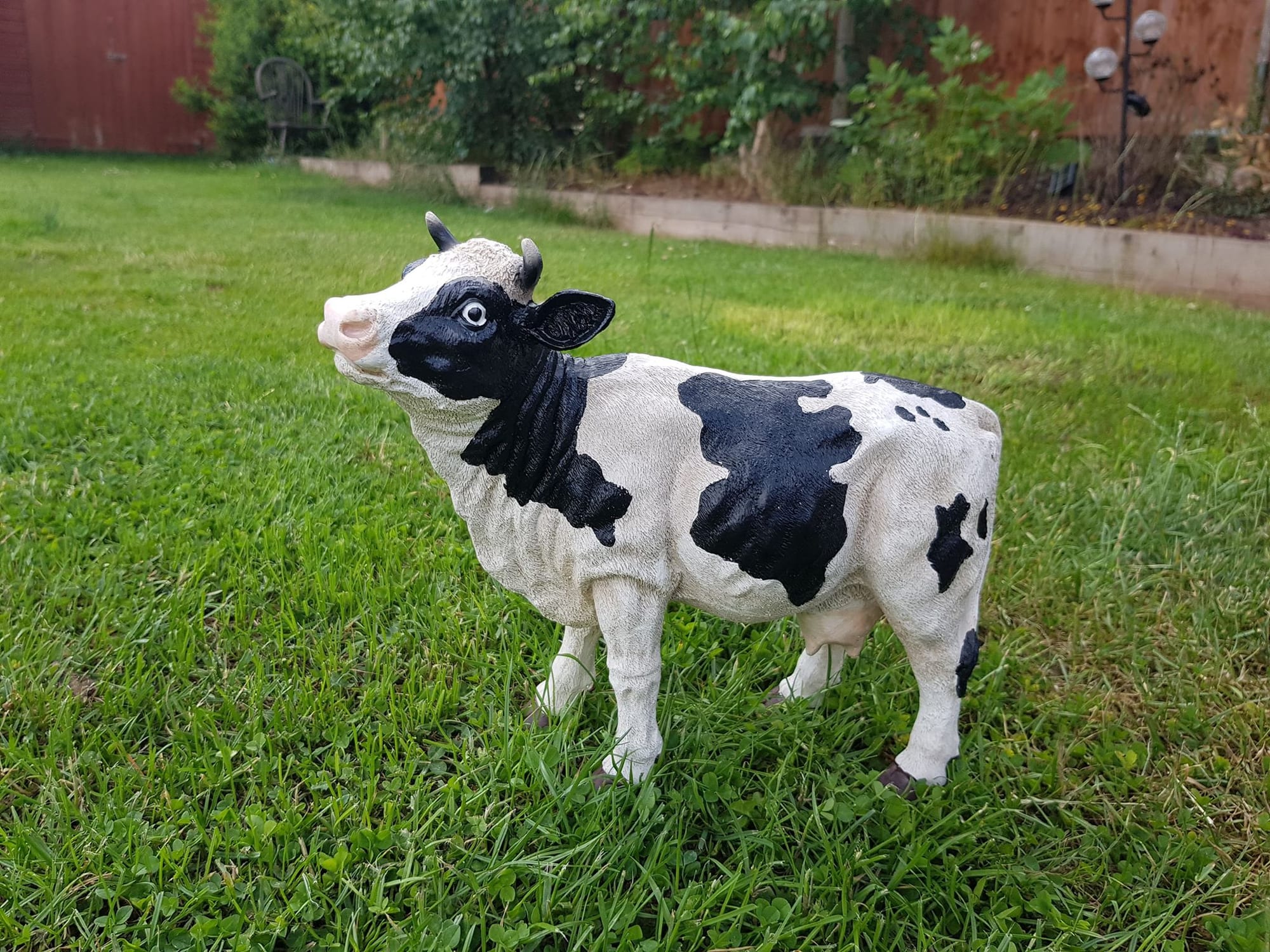Dairy Cow - Backyard Bliss