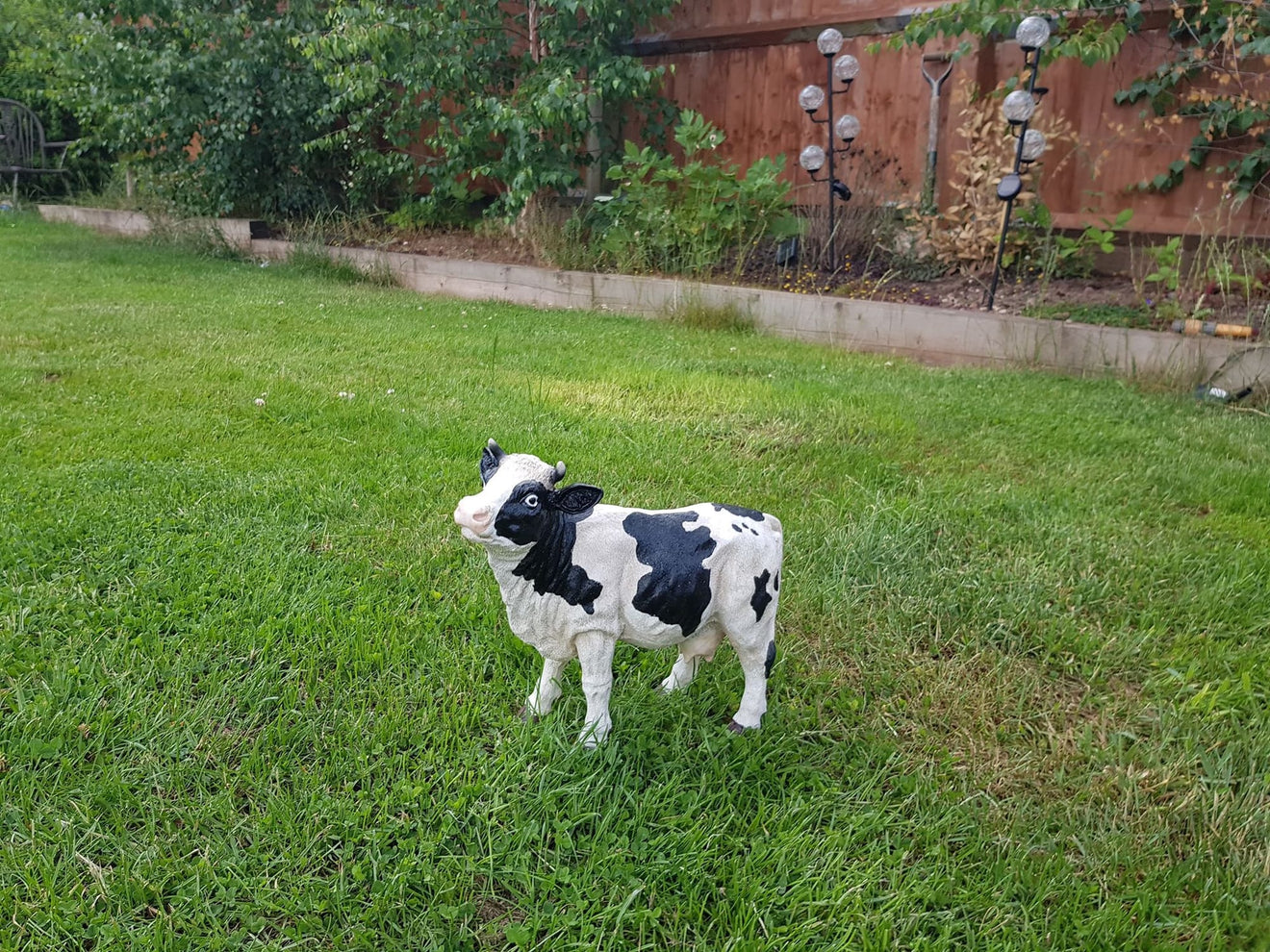 Dairy Cow - Backyard Bliss