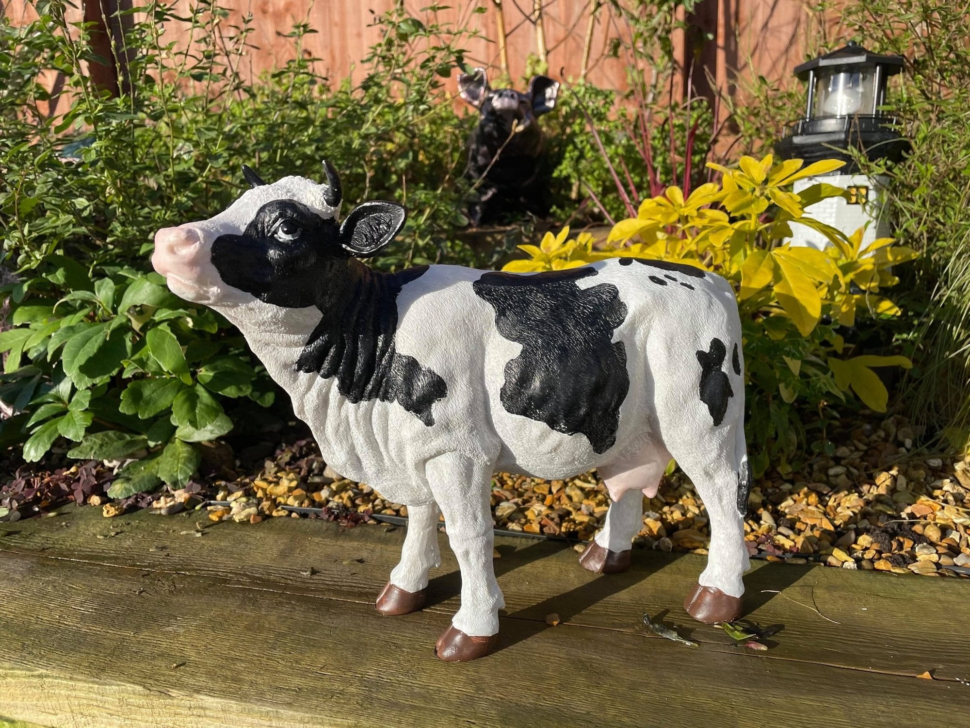 Dairy Cow - Backyard Bliss