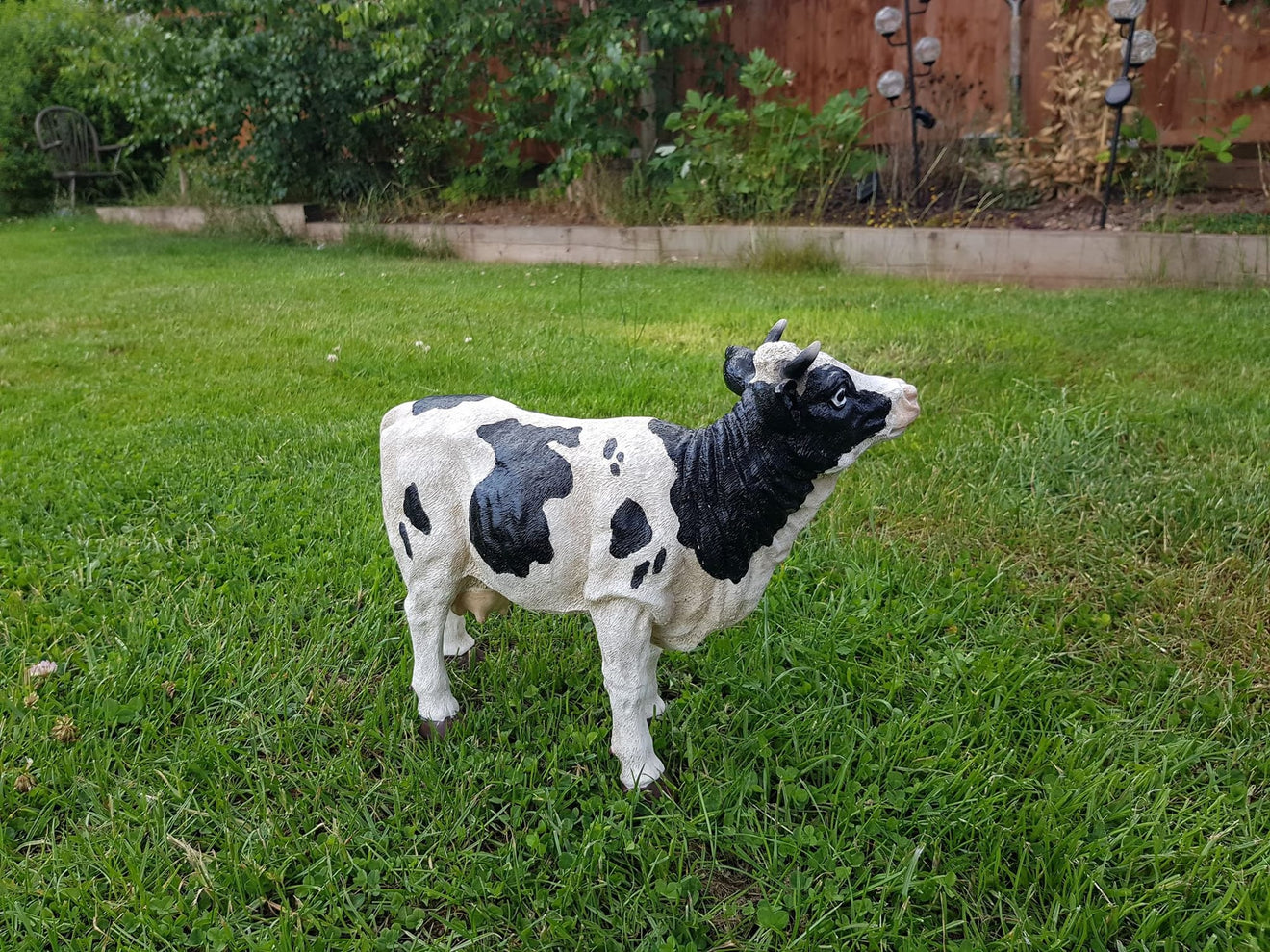 Dairy Cow - Backyard Bliss