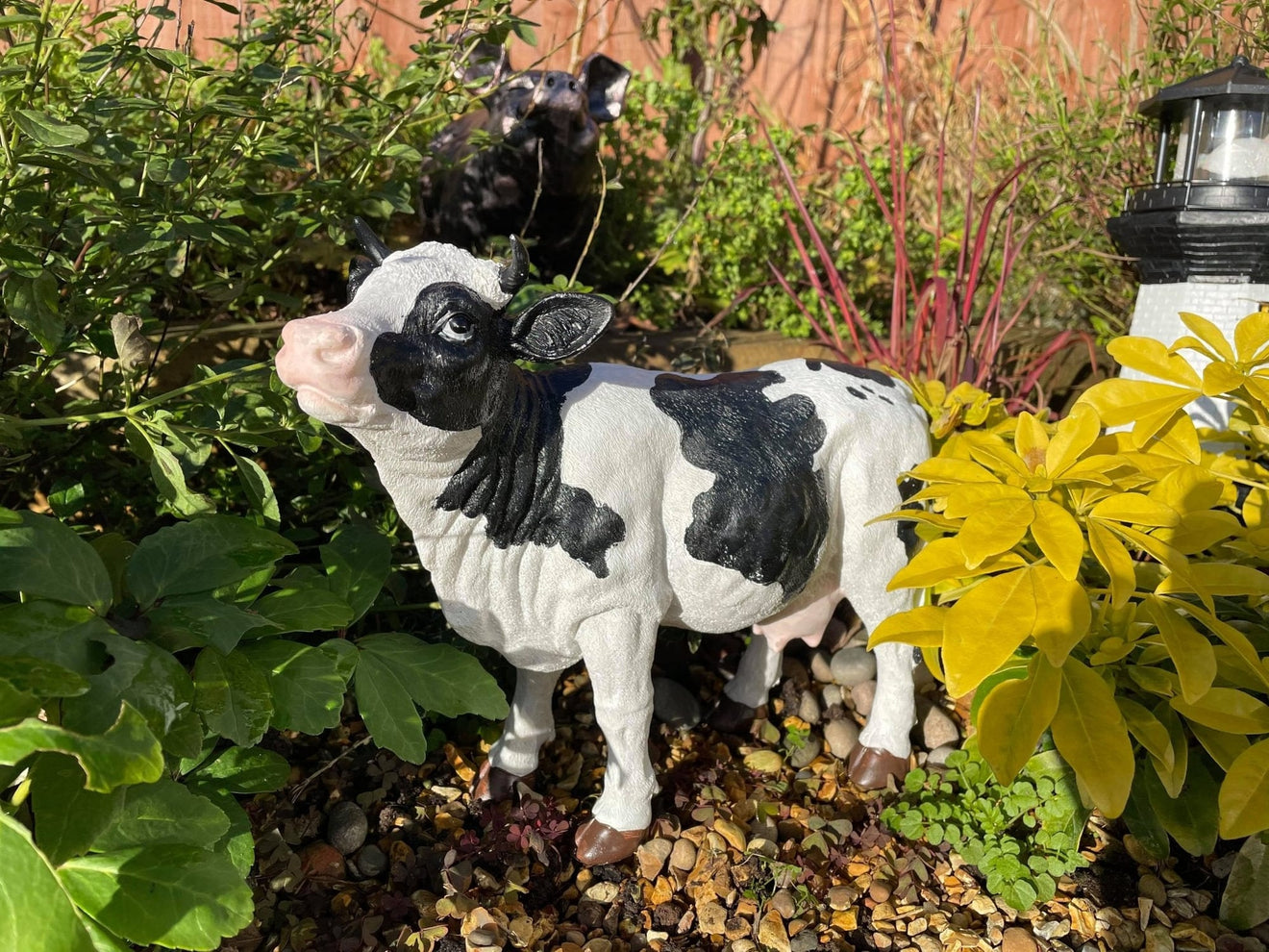 Dairy Cow - Backyard Bliss