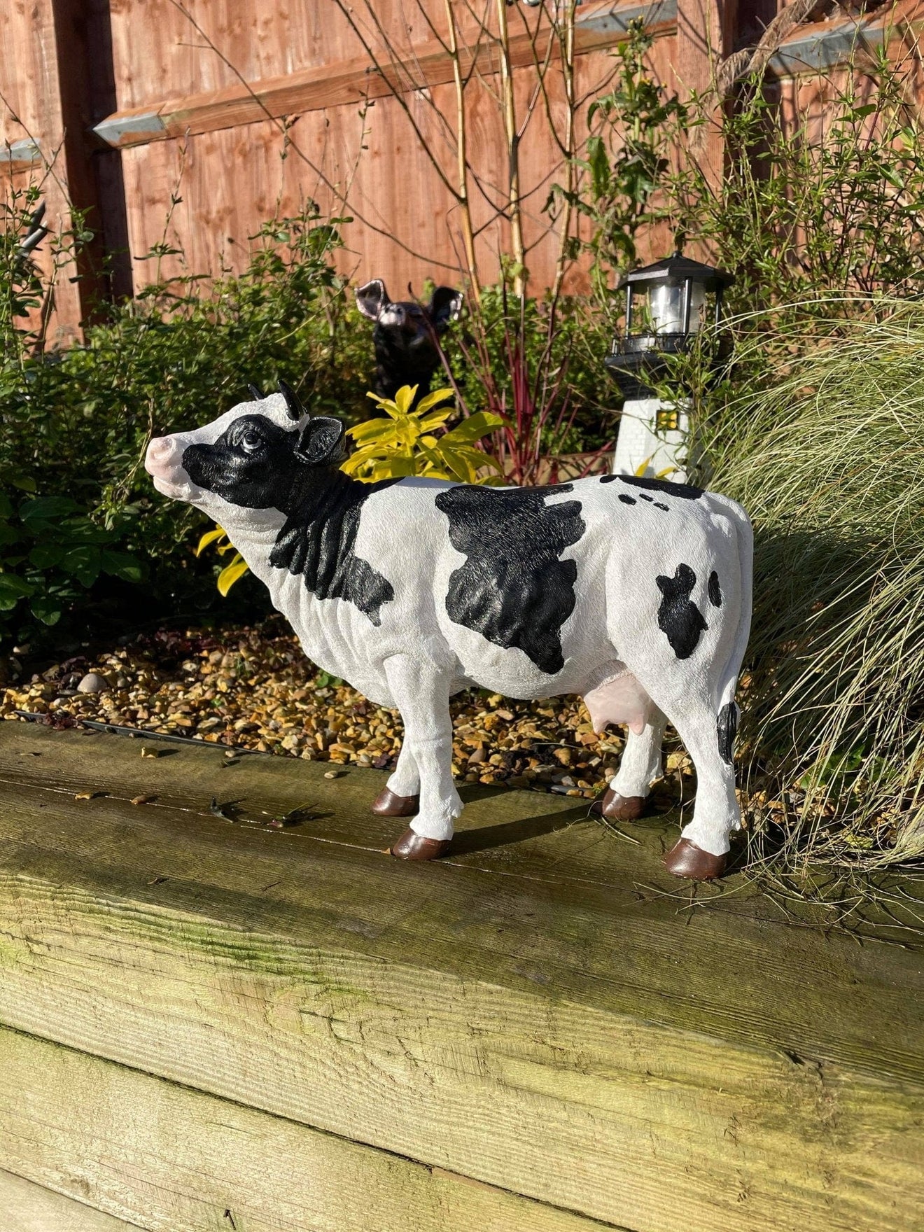 Dairy Cow - Backyard Bliss