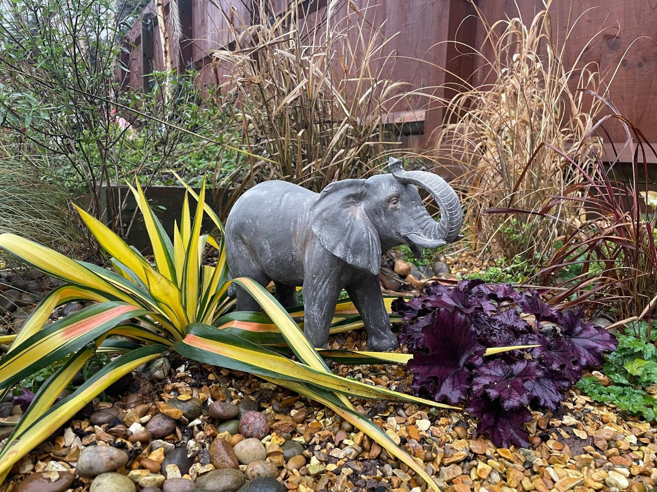 Elegant Elephant - Backyard Bliss