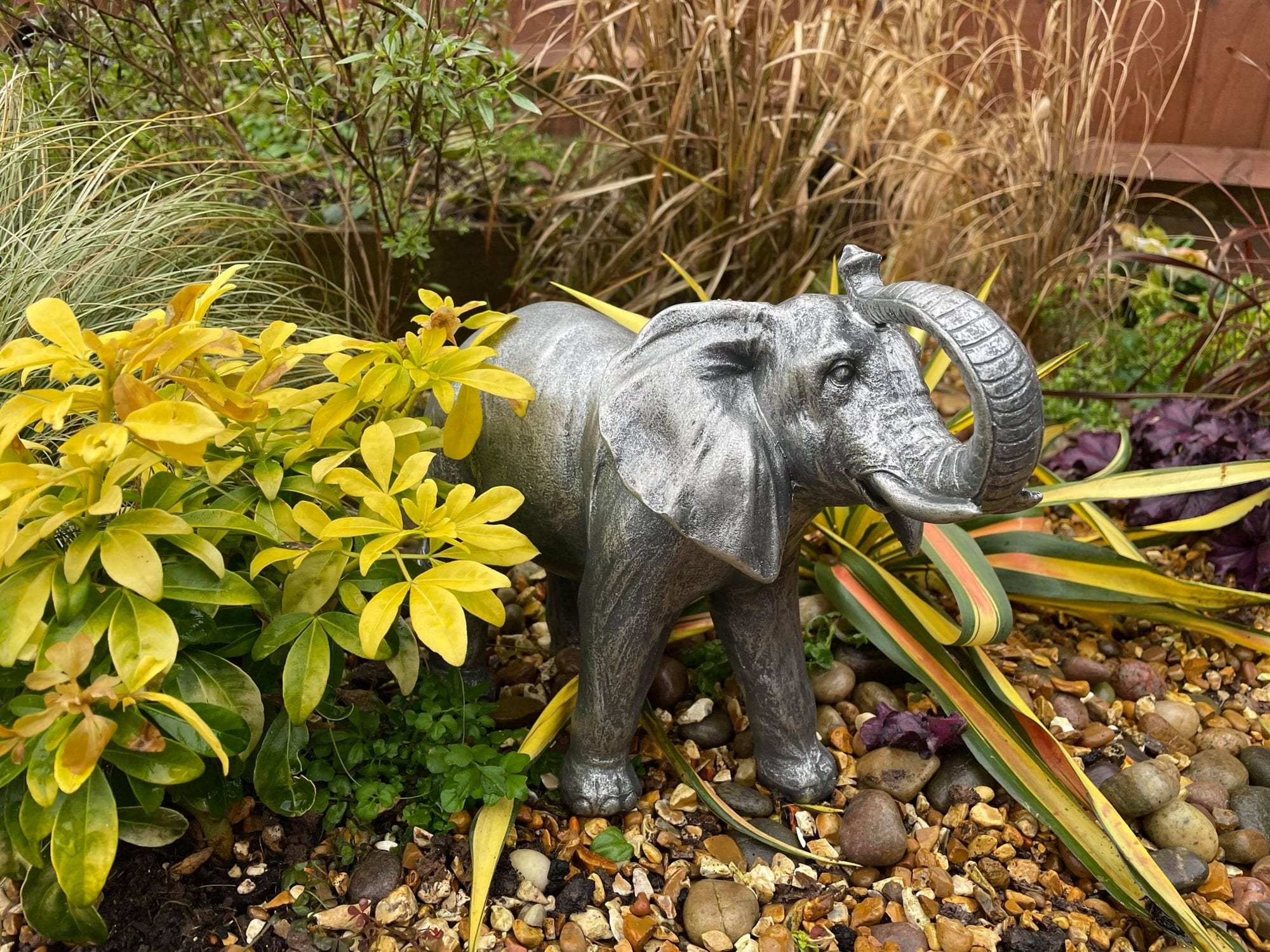 Elegant Elephant - Backyard Bliss