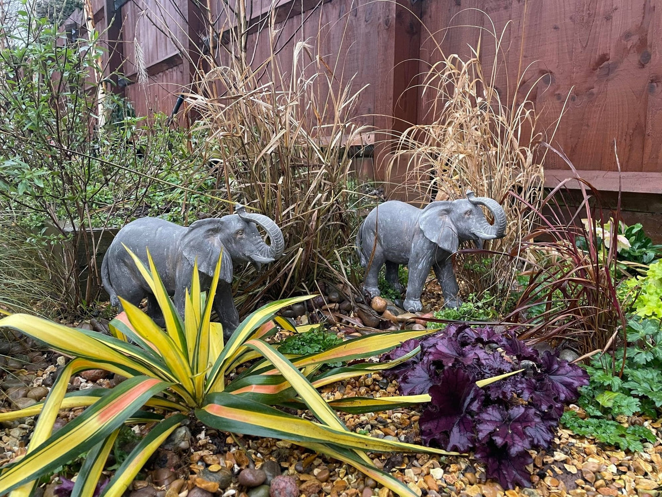 Elegant Elephant - Backyard Bliss