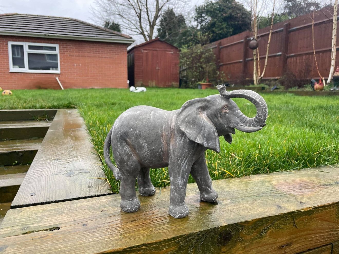 Elegant Elephant - Backyard Bliss
