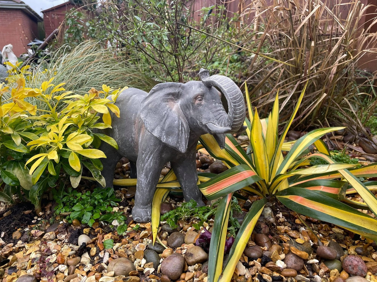 Elegant Elephant - Backyard Bliss