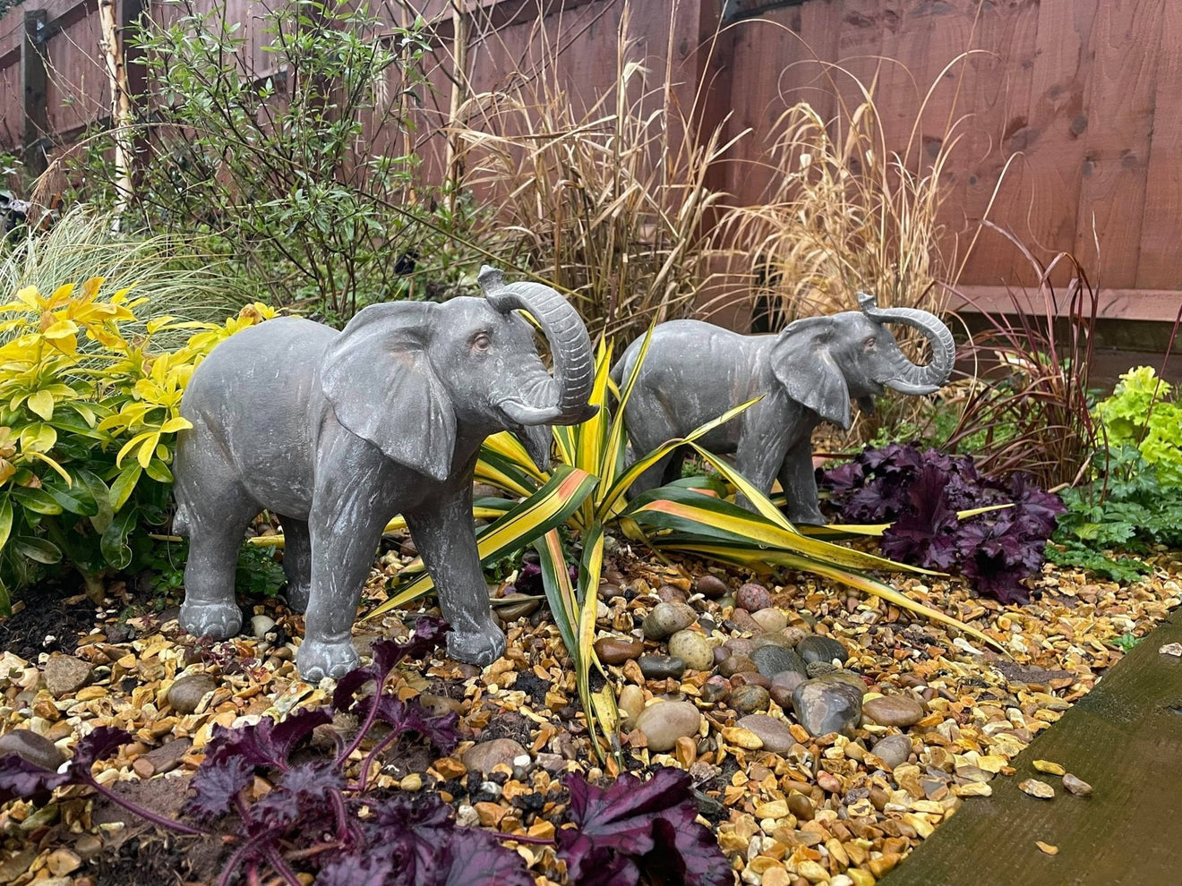 Elegant Elephant - Backyard Bliss