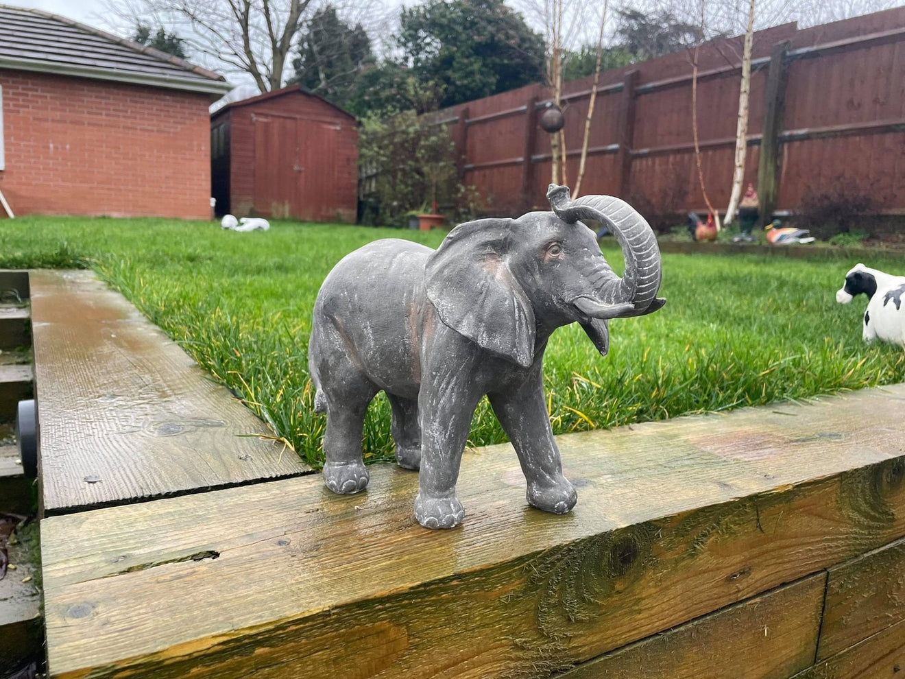 Elegant Elephant - Backyard Bliss