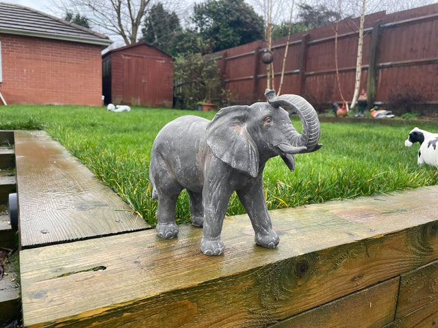 Elegant Elephant - Backyard Bliss