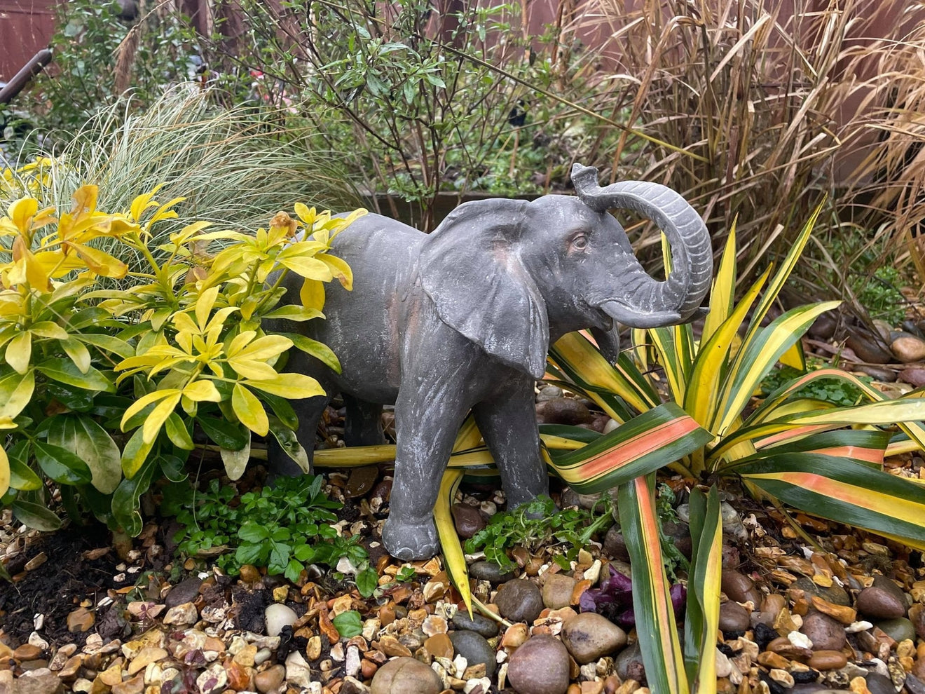 Elegant Elephant - Backyard Bliss