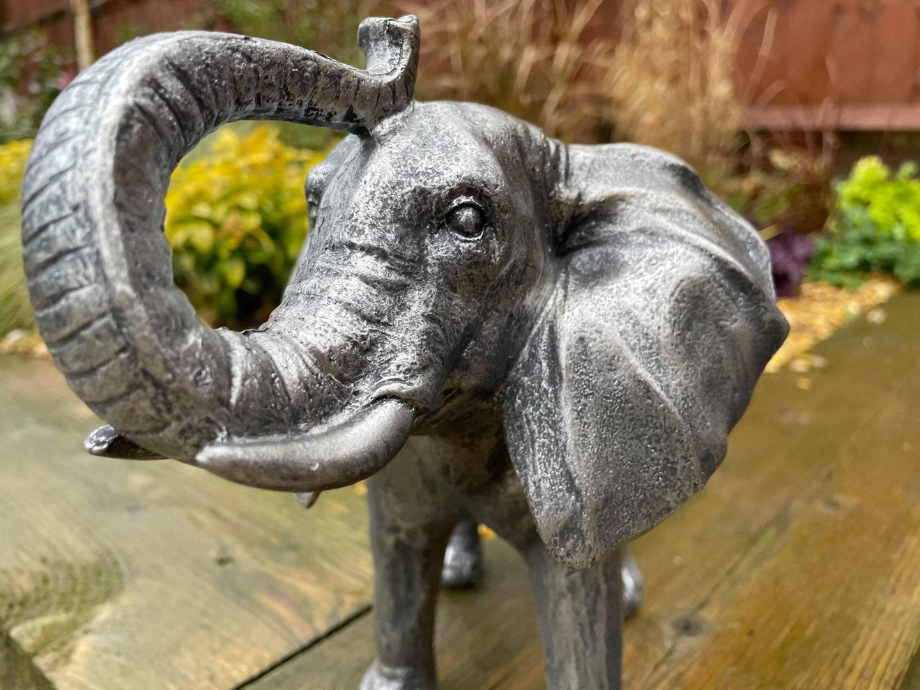 Elegant Elephant - Backyard Bliss