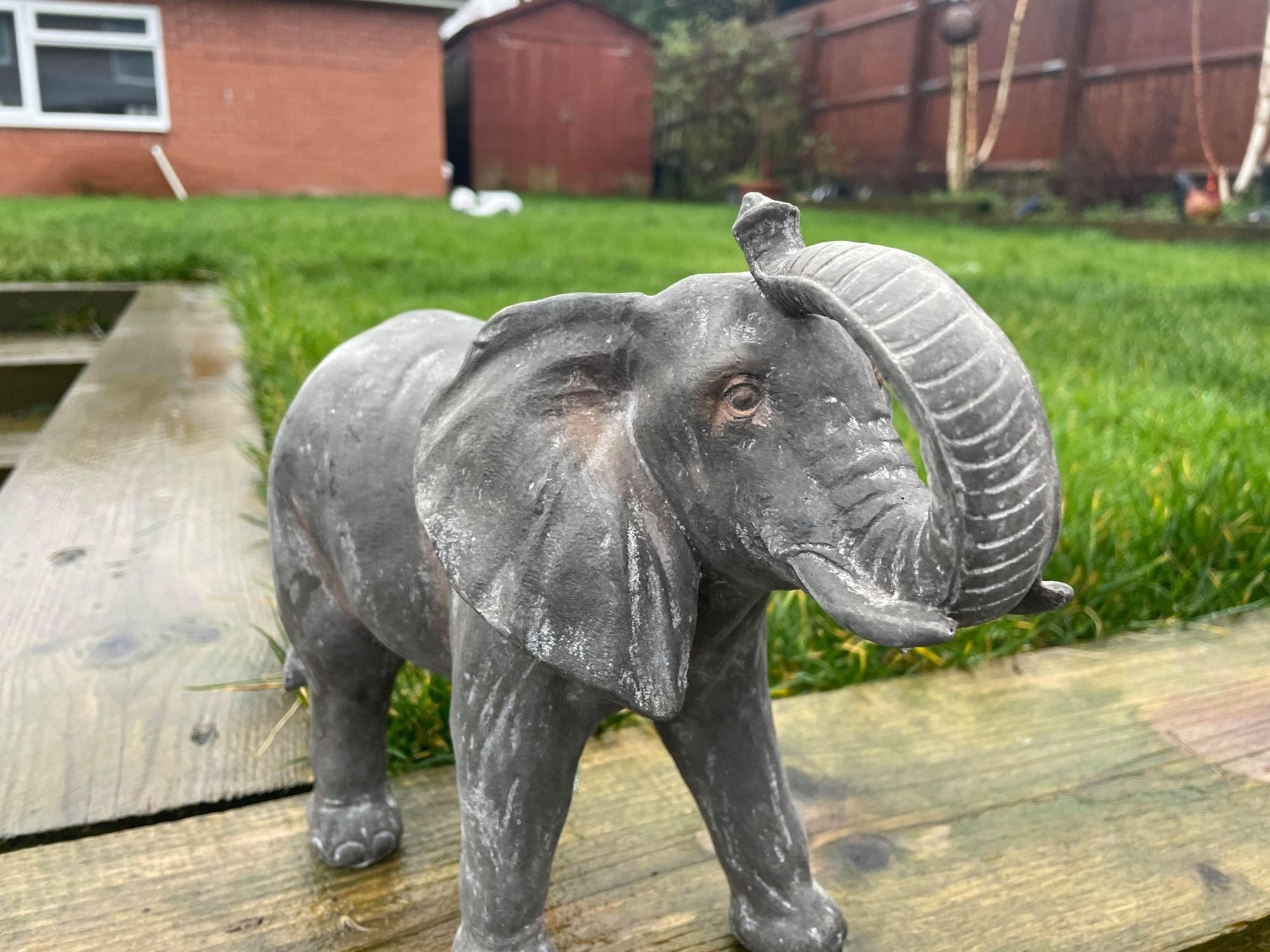 Elegant Elephant - Backyard Bliss